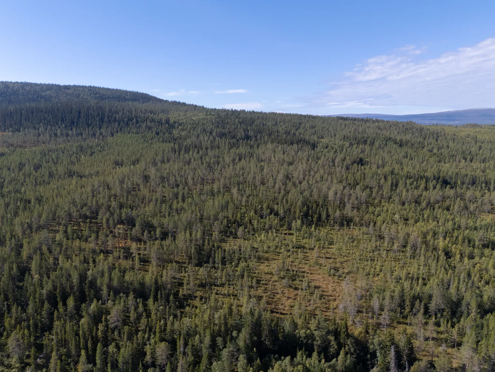 Fritidshus, Glöte 549 och Glöte 547, Härjedalen