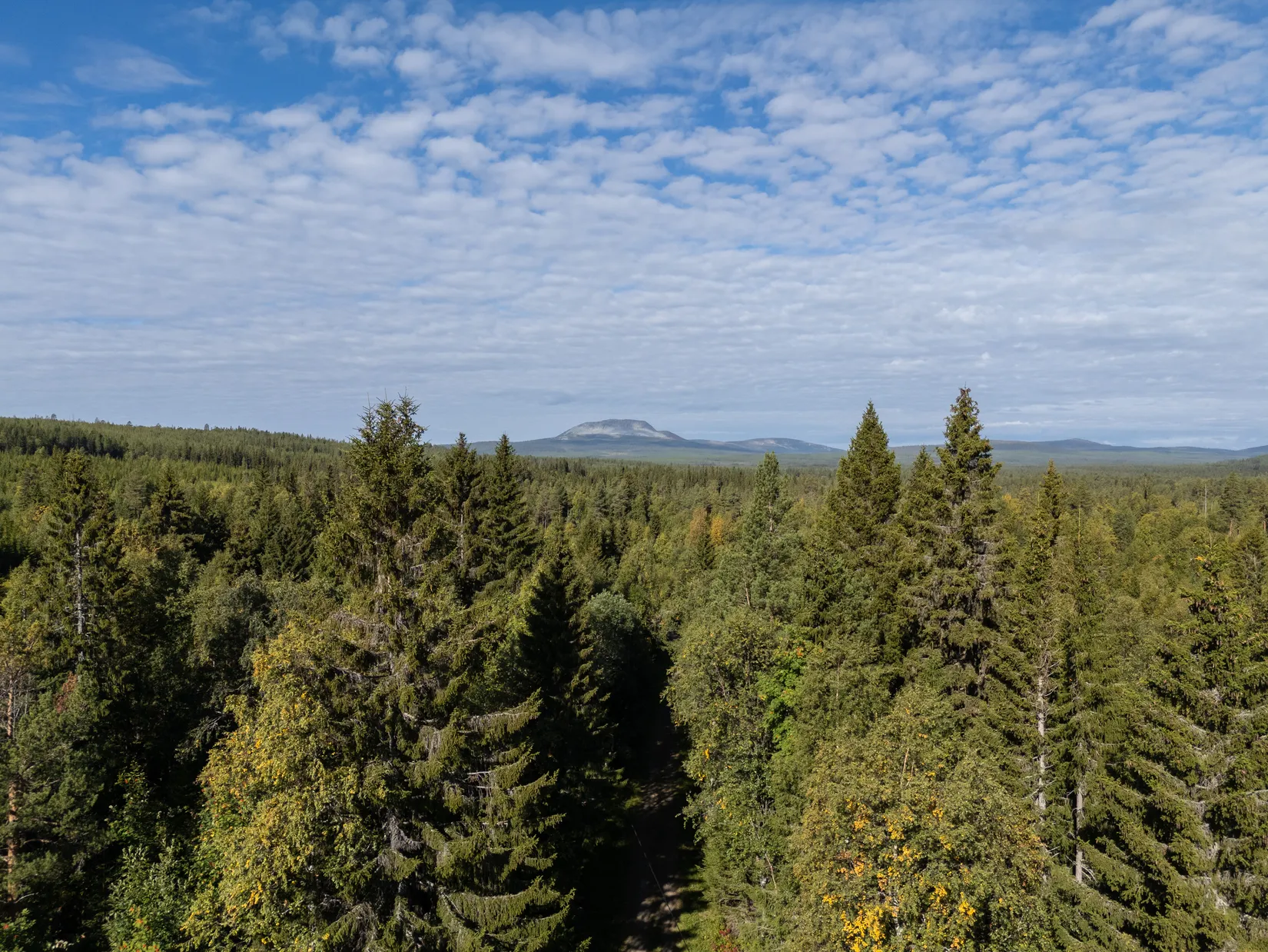 Fritidshus, Glöte 549 och Glöte 547, Härjedalen