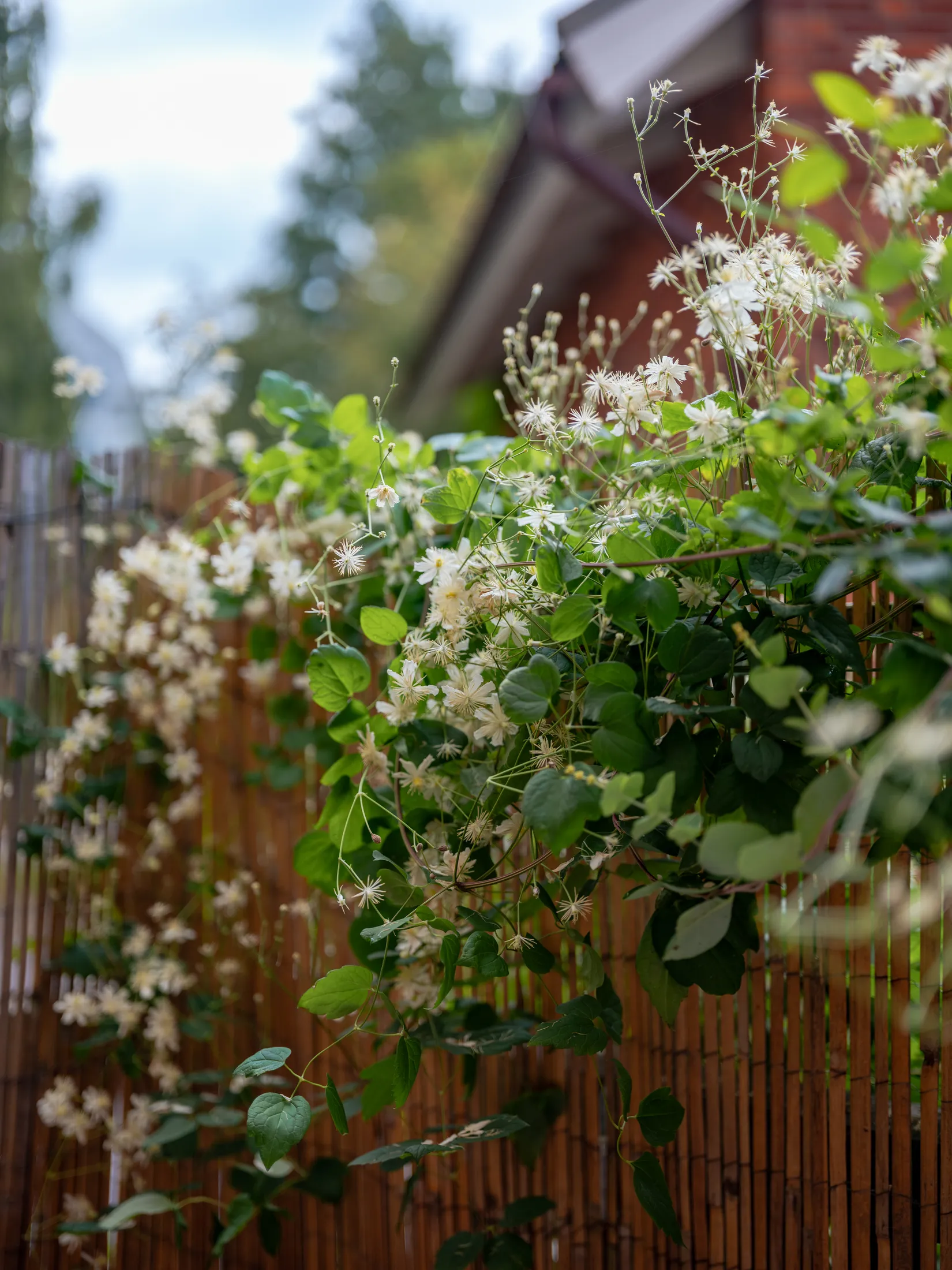 Bostadsrätt, Herserudsvägen 9D, Herserud, Lidingö