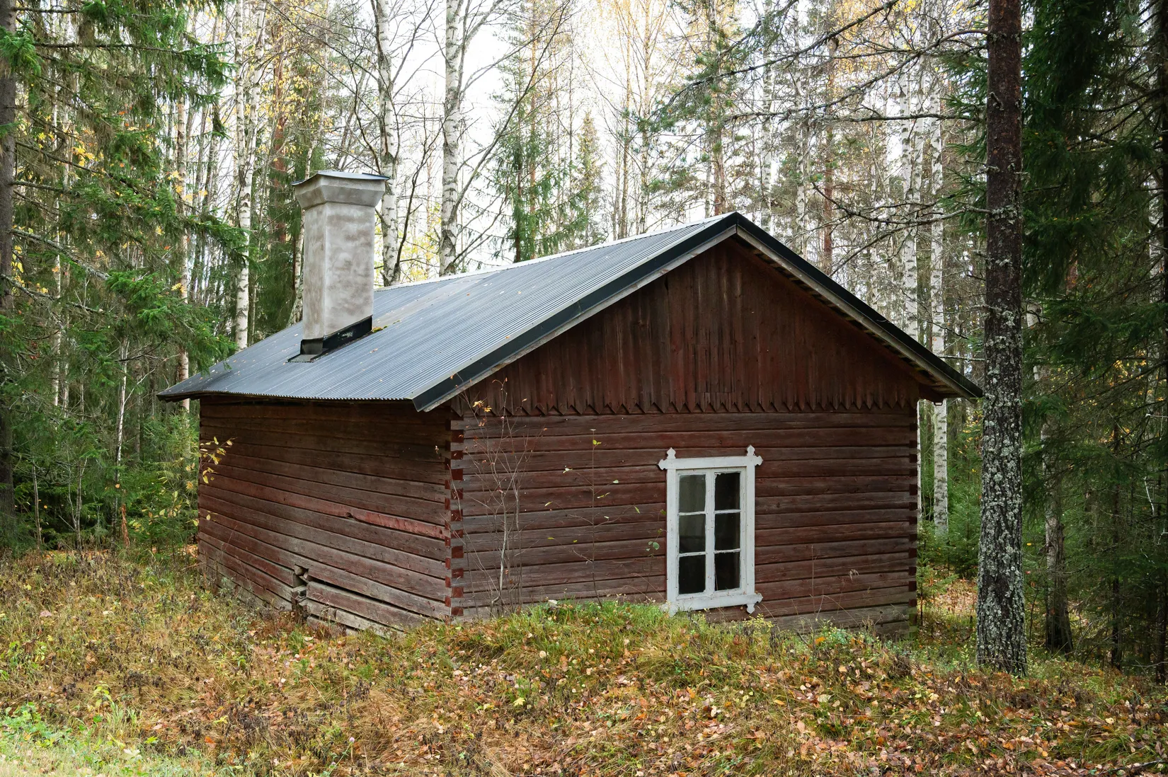 Gård/Skog, Vike 198, Sundsvall