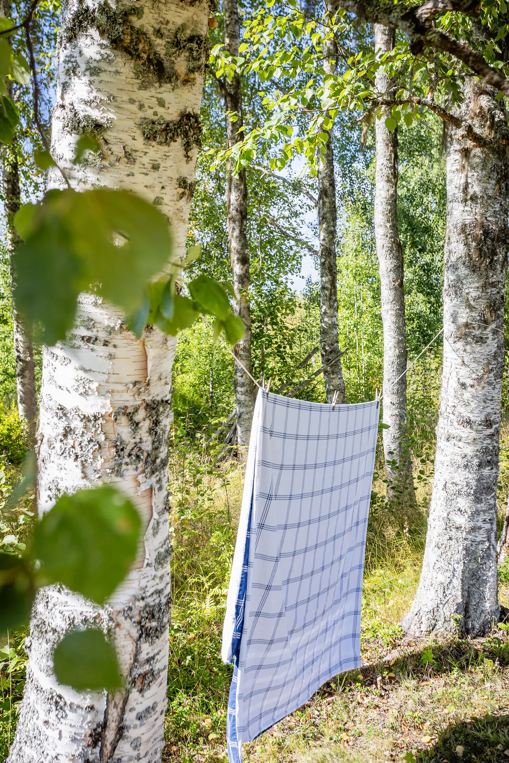 Gård/Skog, Vike 198, Sundsvall