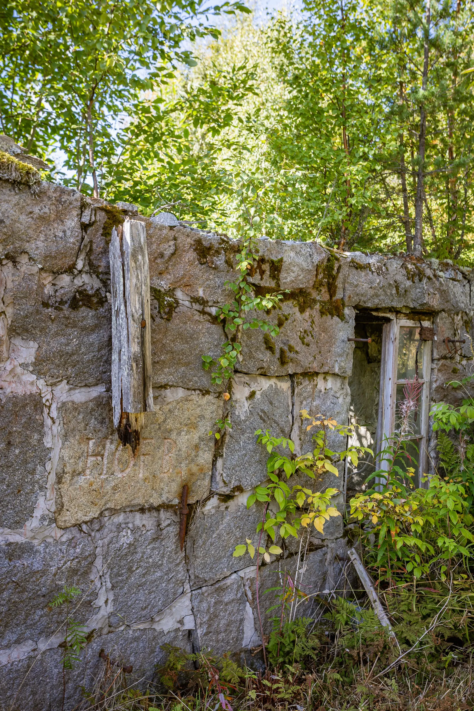 Gård/Skog, Vike 198, Sundsvall