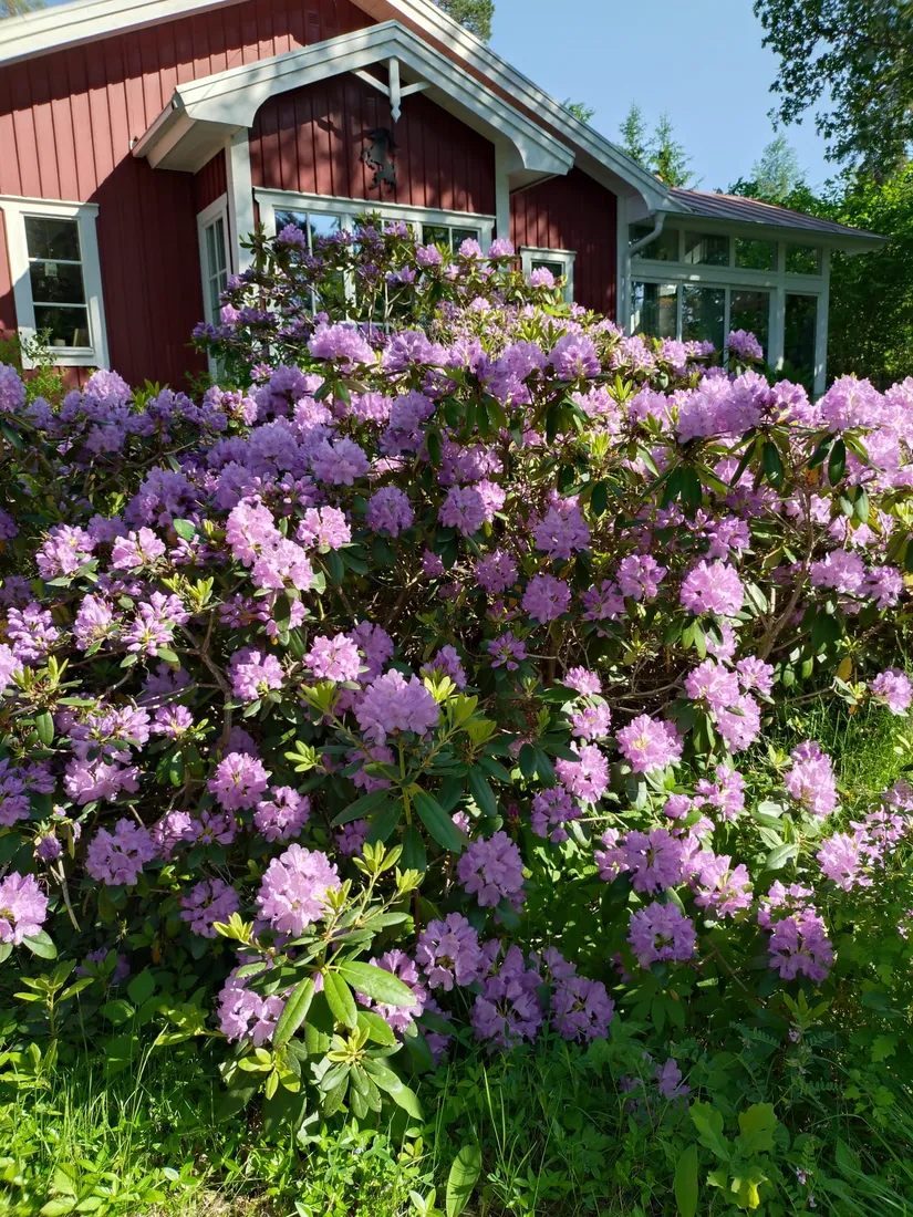 Villa, Öringevägen 7, Knivsta