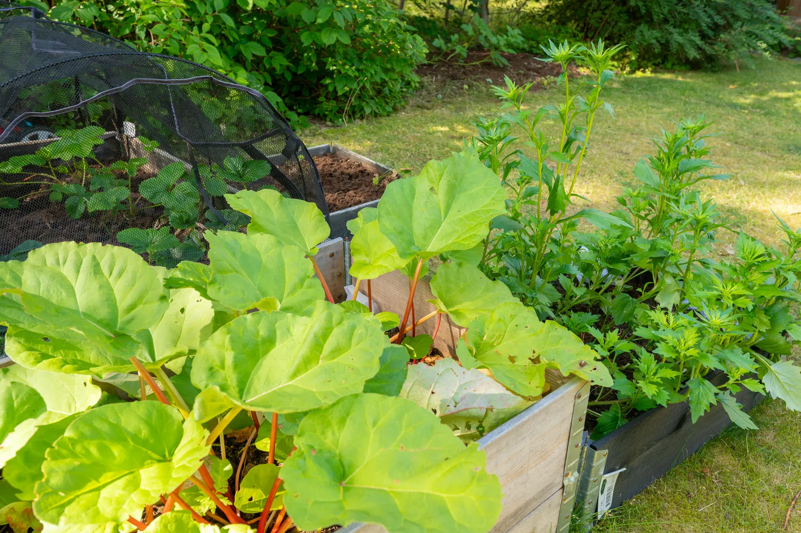 Bostadsrätt, Sparrisgången 56, Arnö, Nyköping