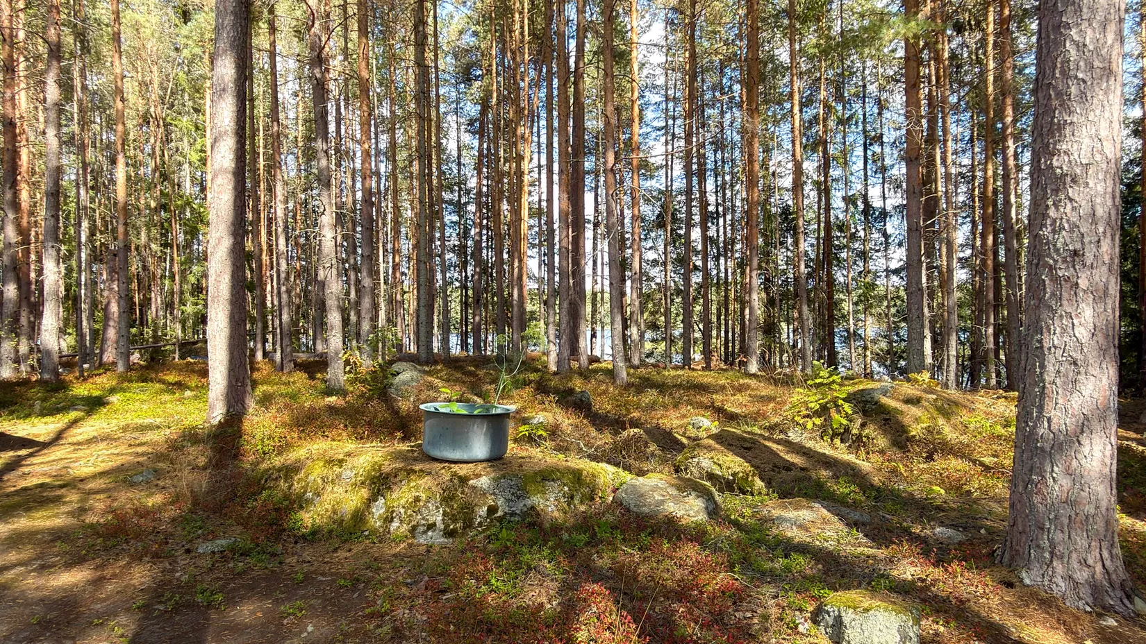 Fritidshus, Risön 3, Smedjebacken