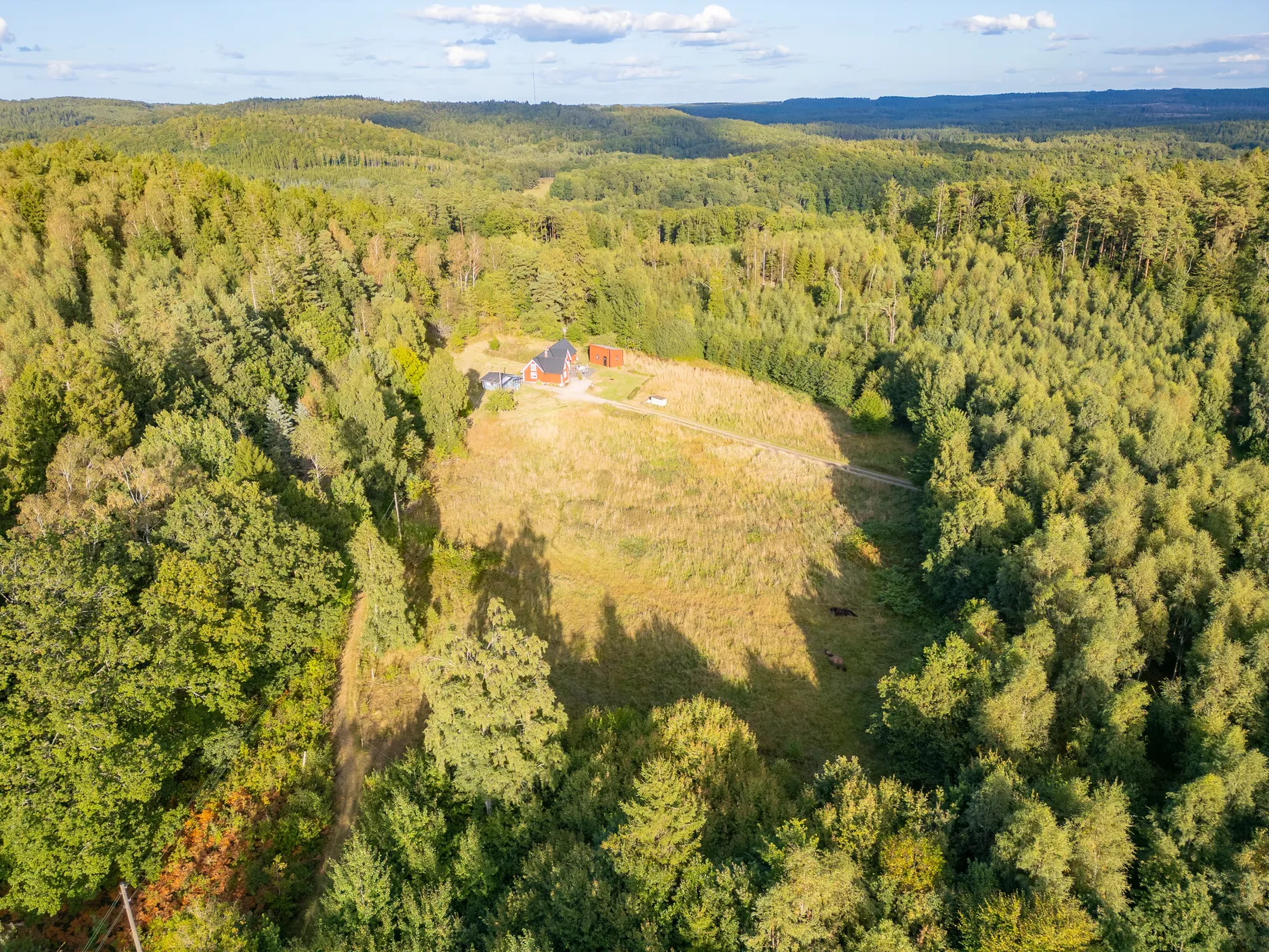 Gård/Skog, Kvibille Täppet 171, Kvibille, Halmstad