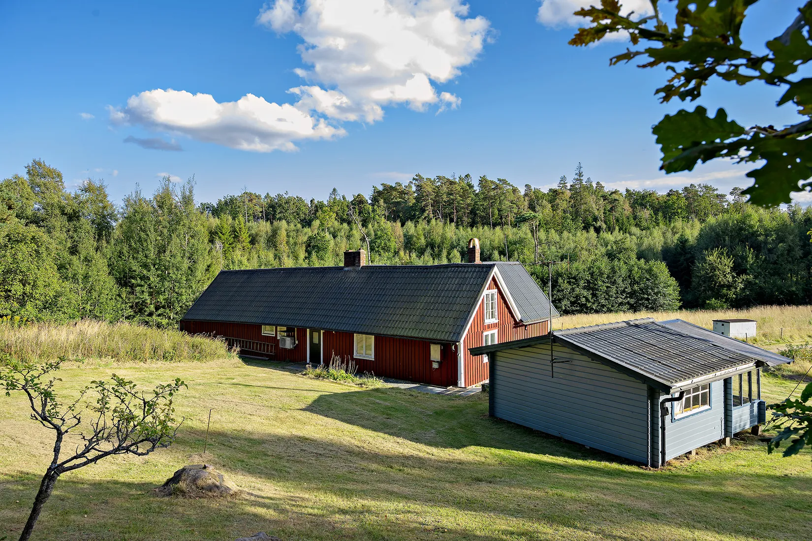 Gård/Skog, Kvibille Täppet 171, Kvibille, Halmstad