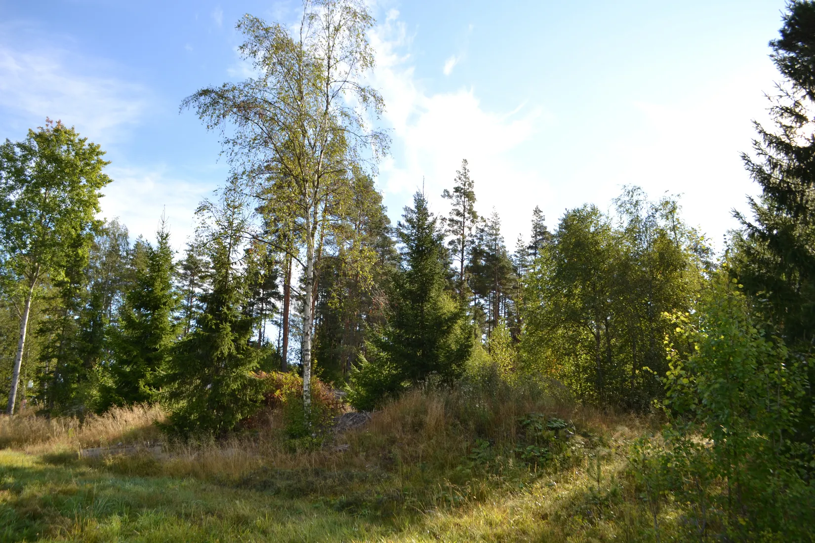 Tomt, Hårsbodavägen 54, Riala, Norrtälje