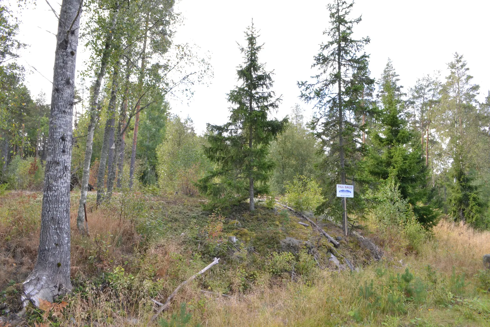 Tomt, Hårsbodavägen 54, Riala, Norrtälje