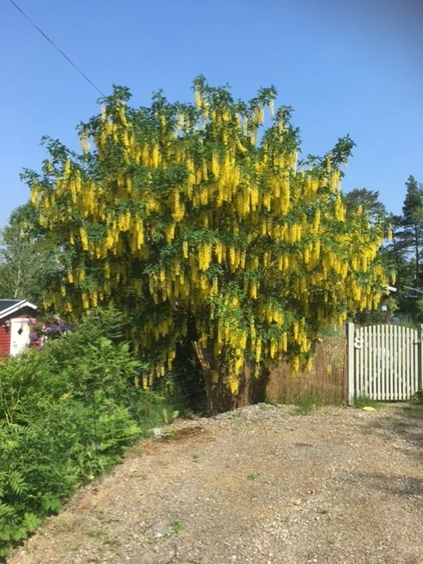 Fritidshus, Galärstigen 8, Årsta Havsbad, Haninge
