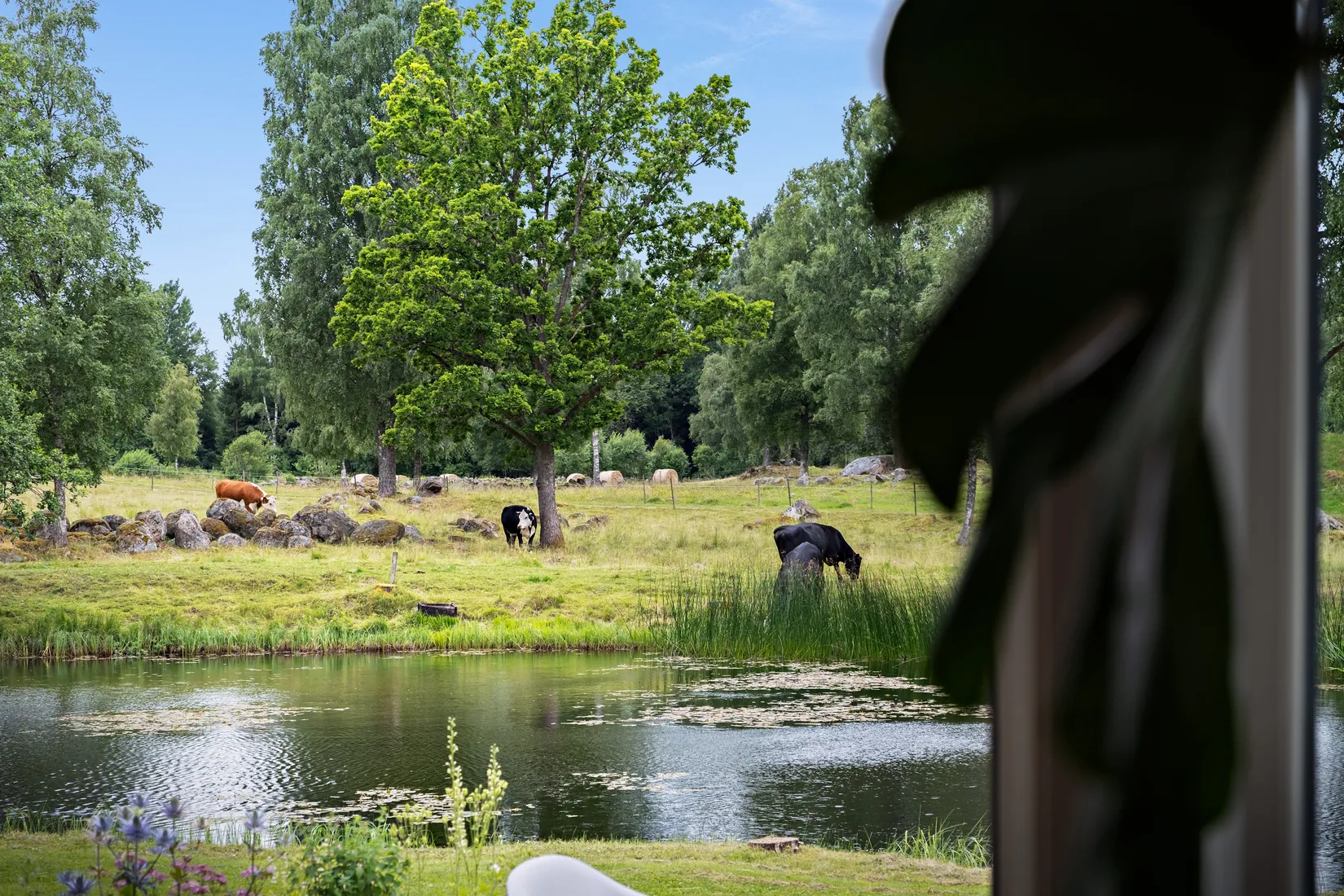 Gård/Skog, Björkestorp 201, Blidsberg, Ulricehamn