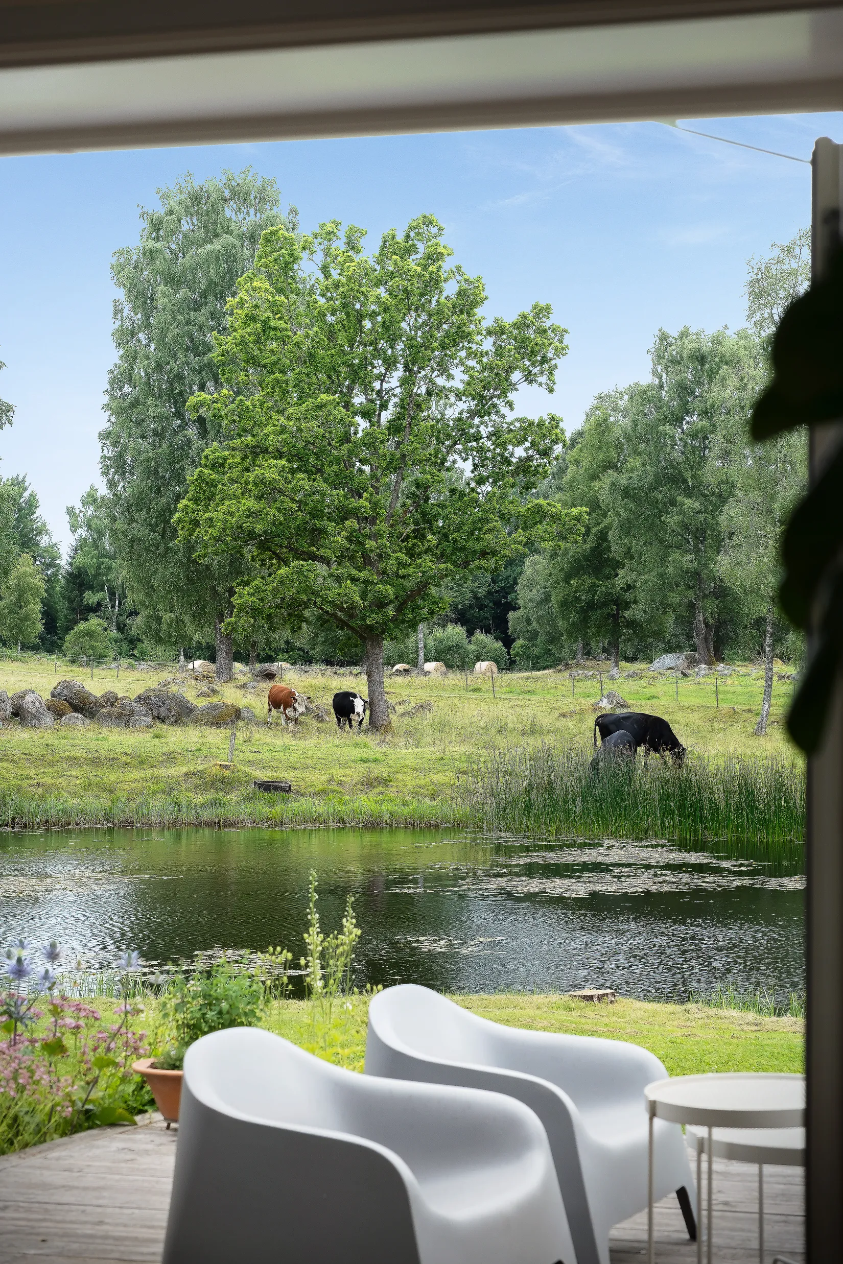 Gård/Skog, Björkestorp 201, Blidsberg, Ulricehamn