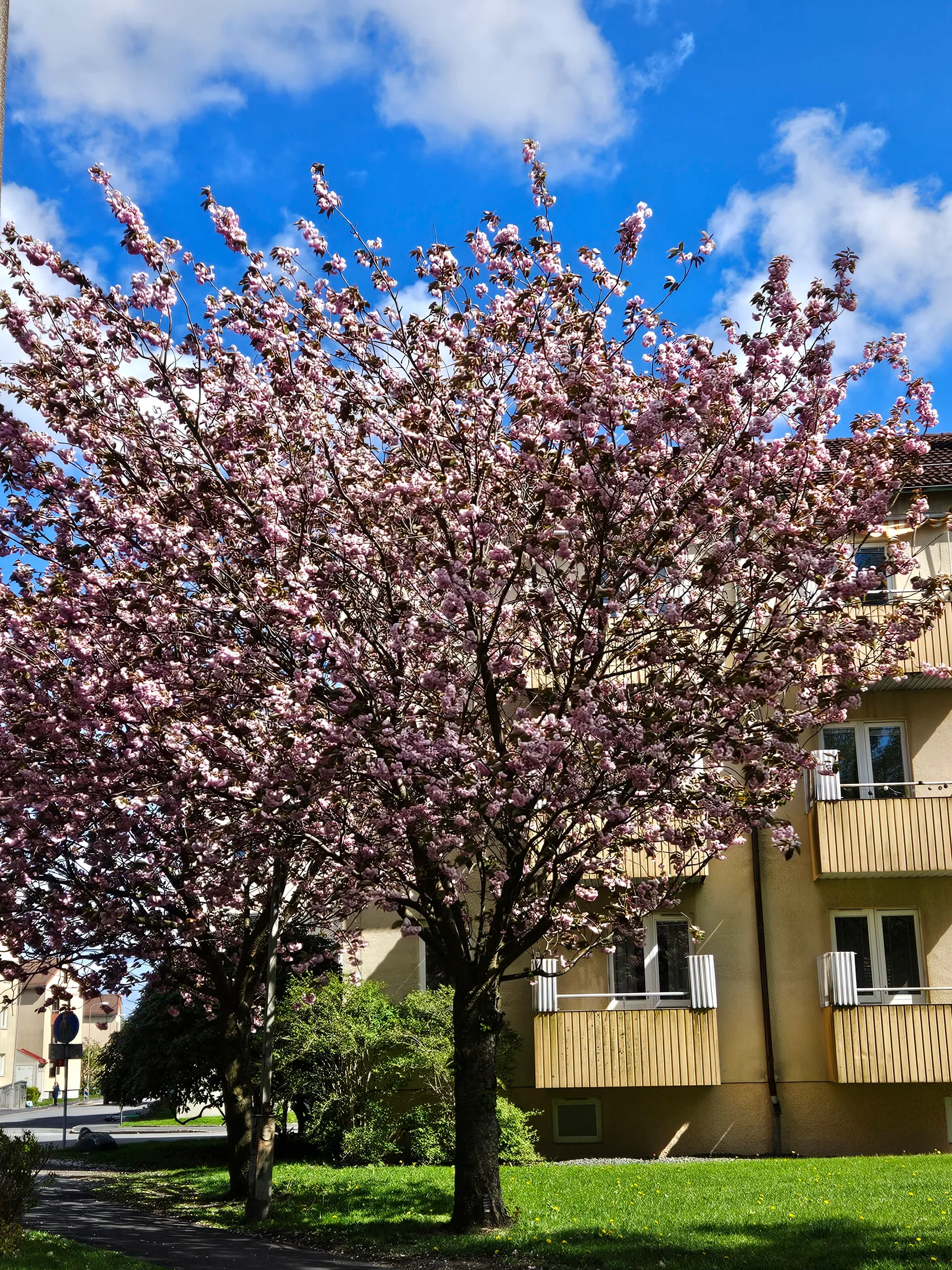 Bostadsrätt, Sunnanvindsgatan 6A, Centrala Hisingen, Göteborg