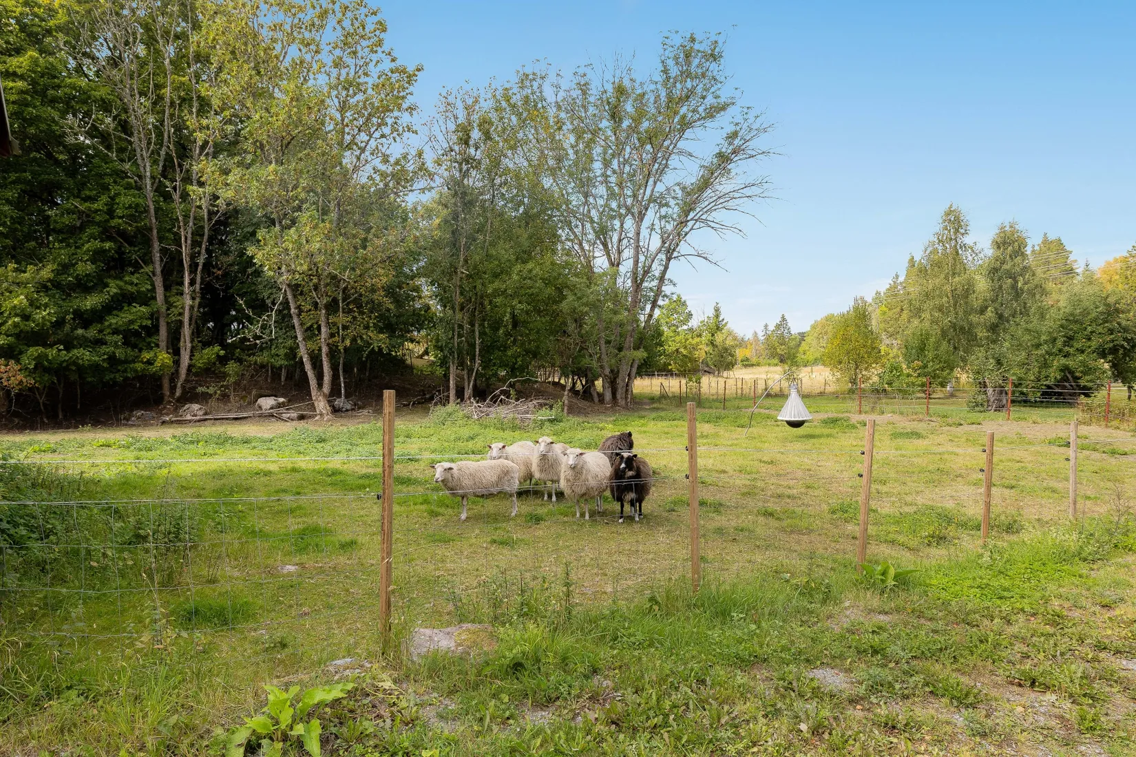 Gård/Skog, Biskopskulla-Högstena 5, Biskopskulla, Enköping