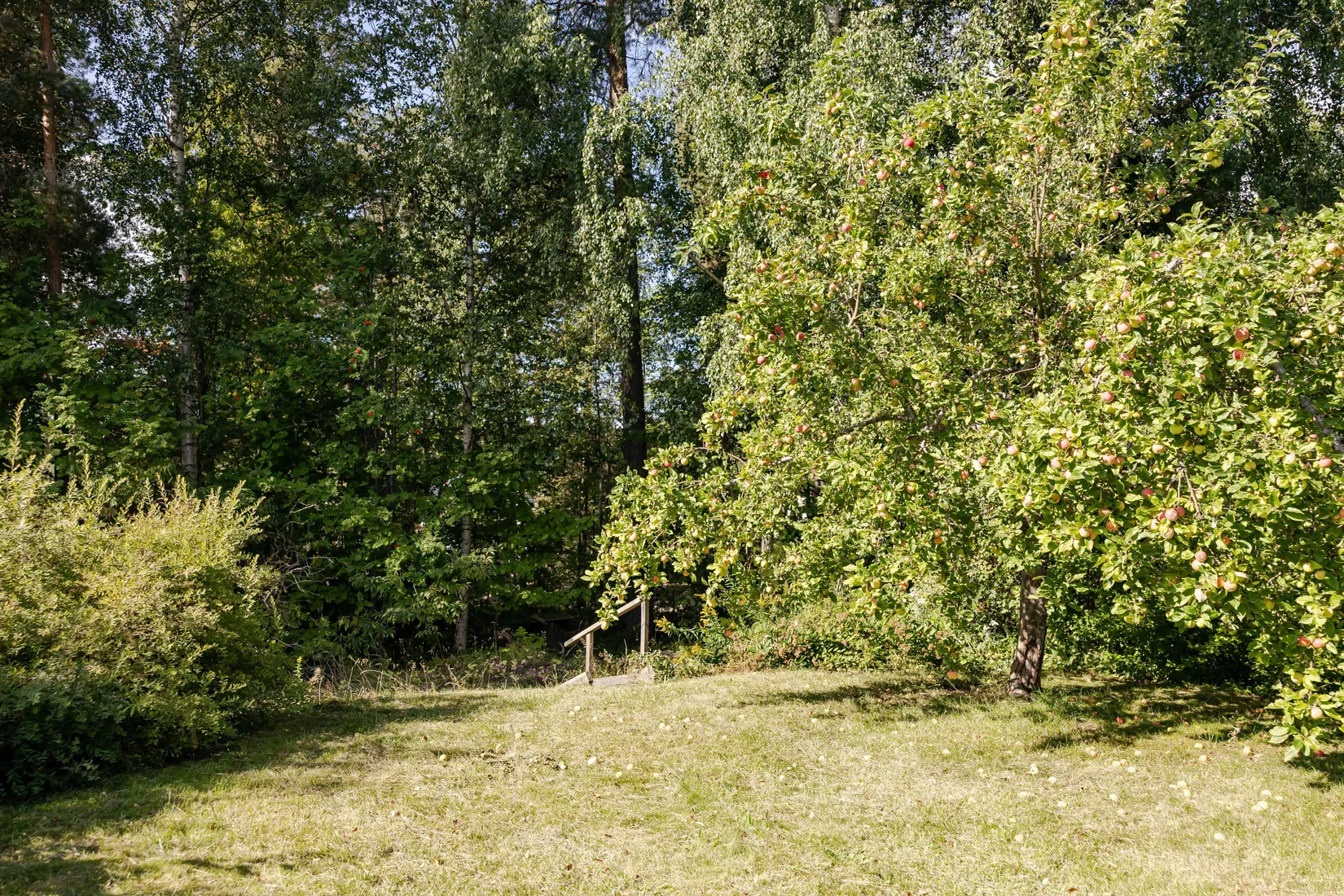 Radhus, Slalomvägen 31, Falun