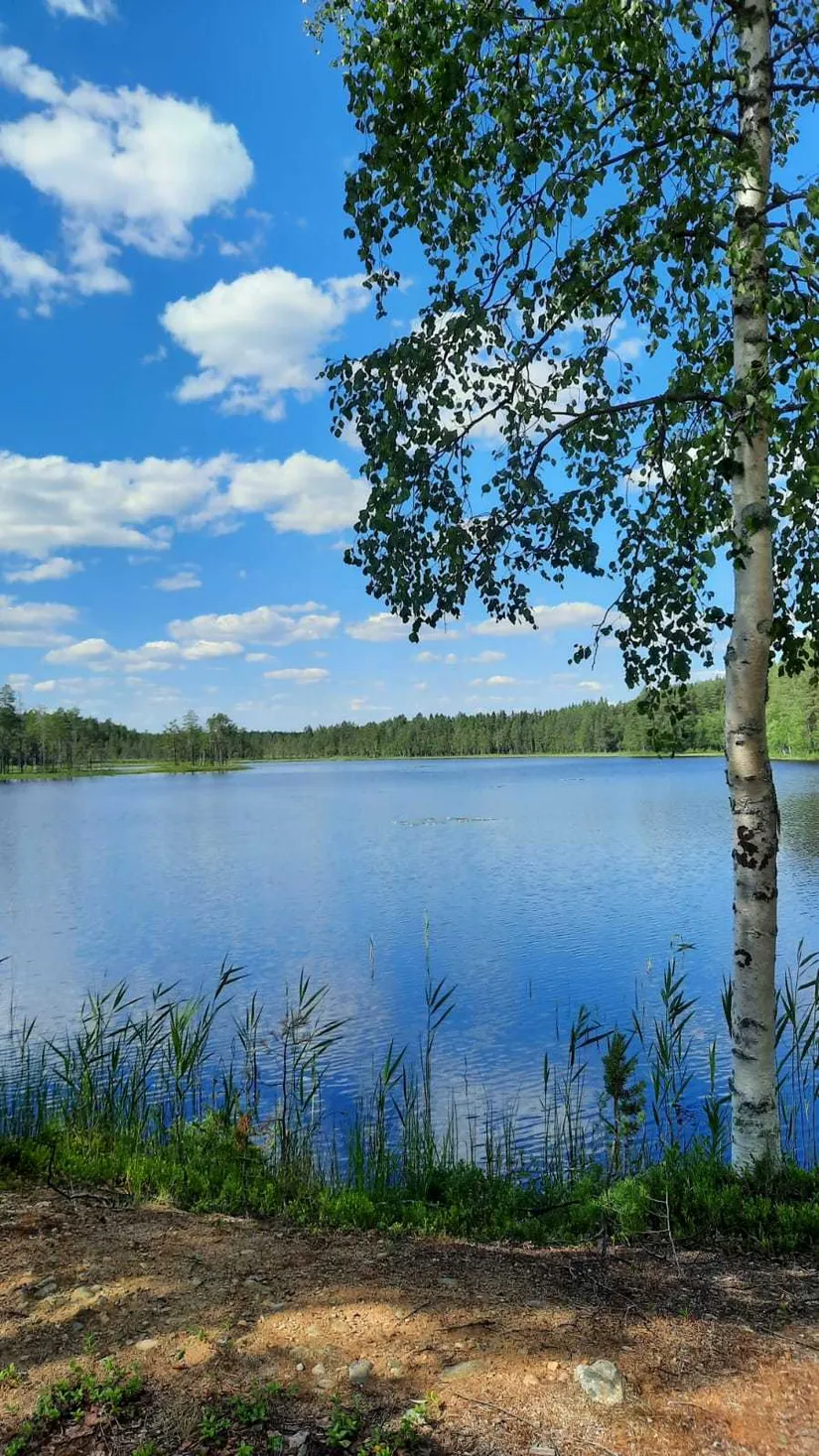 Villa, Hobergsträsk 5, Skellefteå