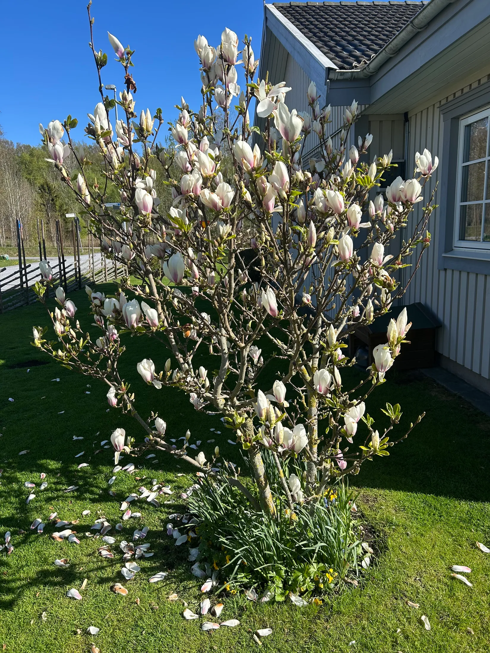 Villa, Bagarevägen 4, Tanumshede, Tanum