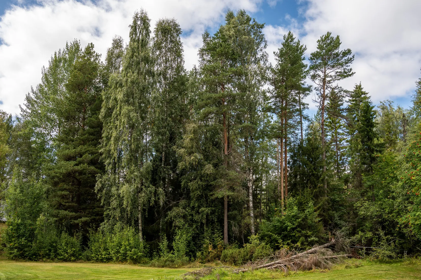 Villa, Undrom 252, Sollefteå
