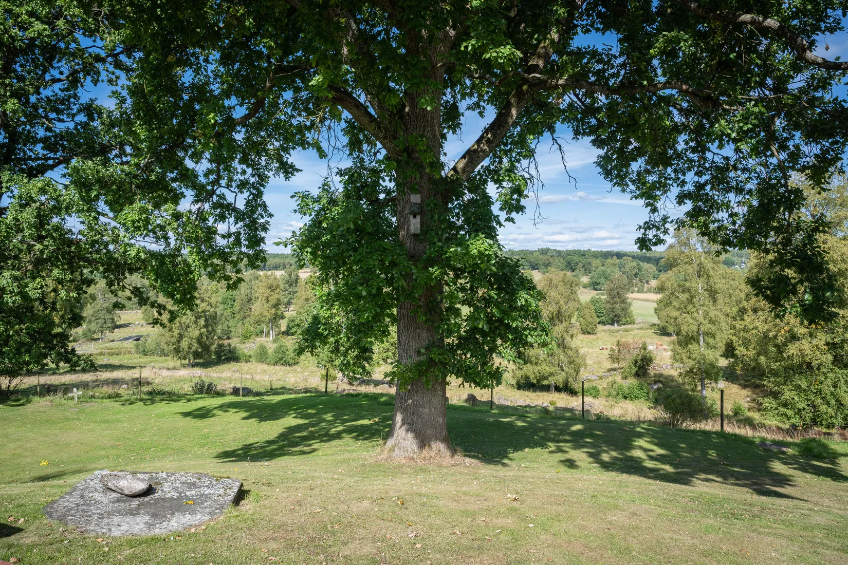 Gård/Skog, Vings Backen 154, Hökerum, Ulricehamn
