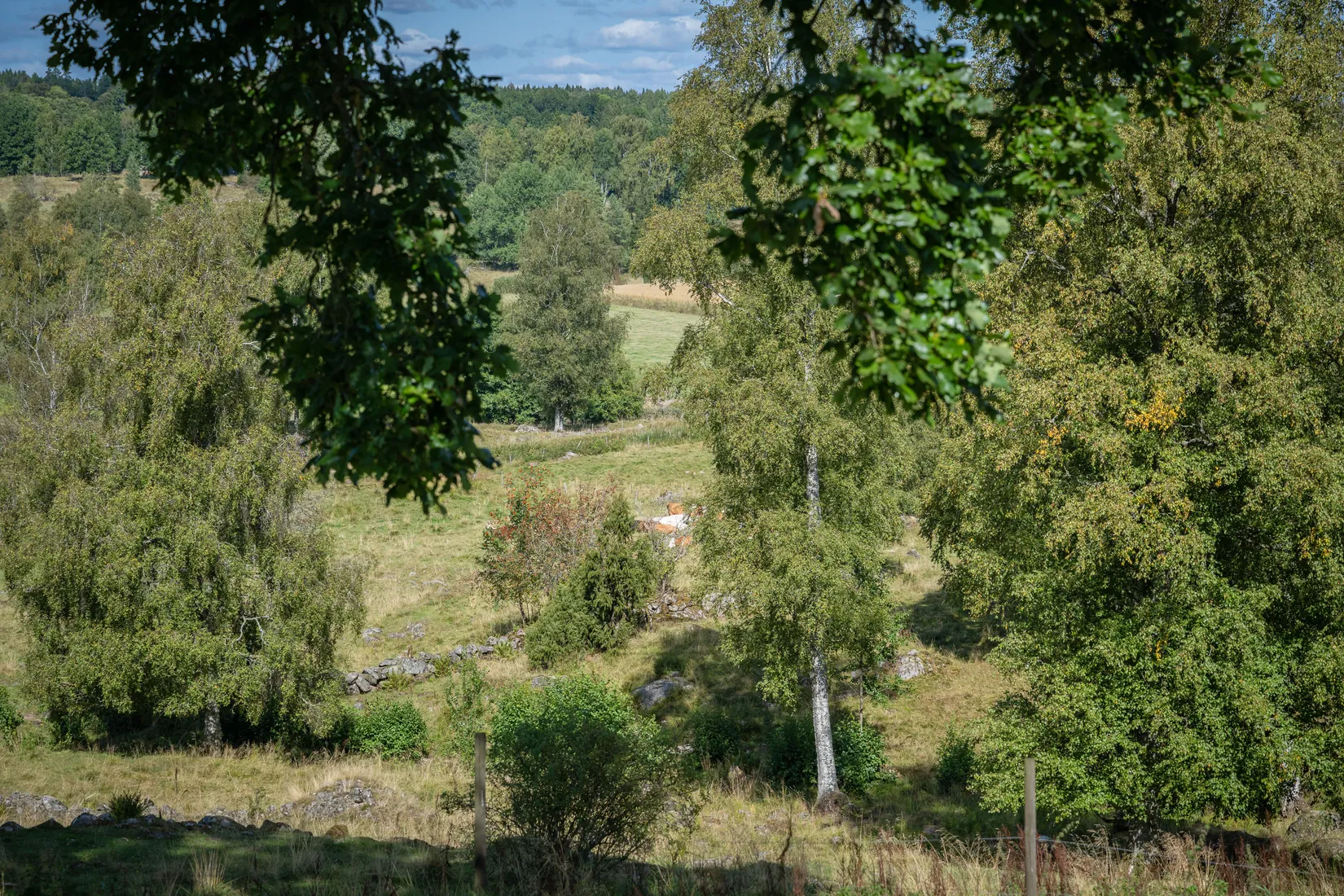 Gård/Skog, Vings Backen 154, Hökerum, Ulricehamn