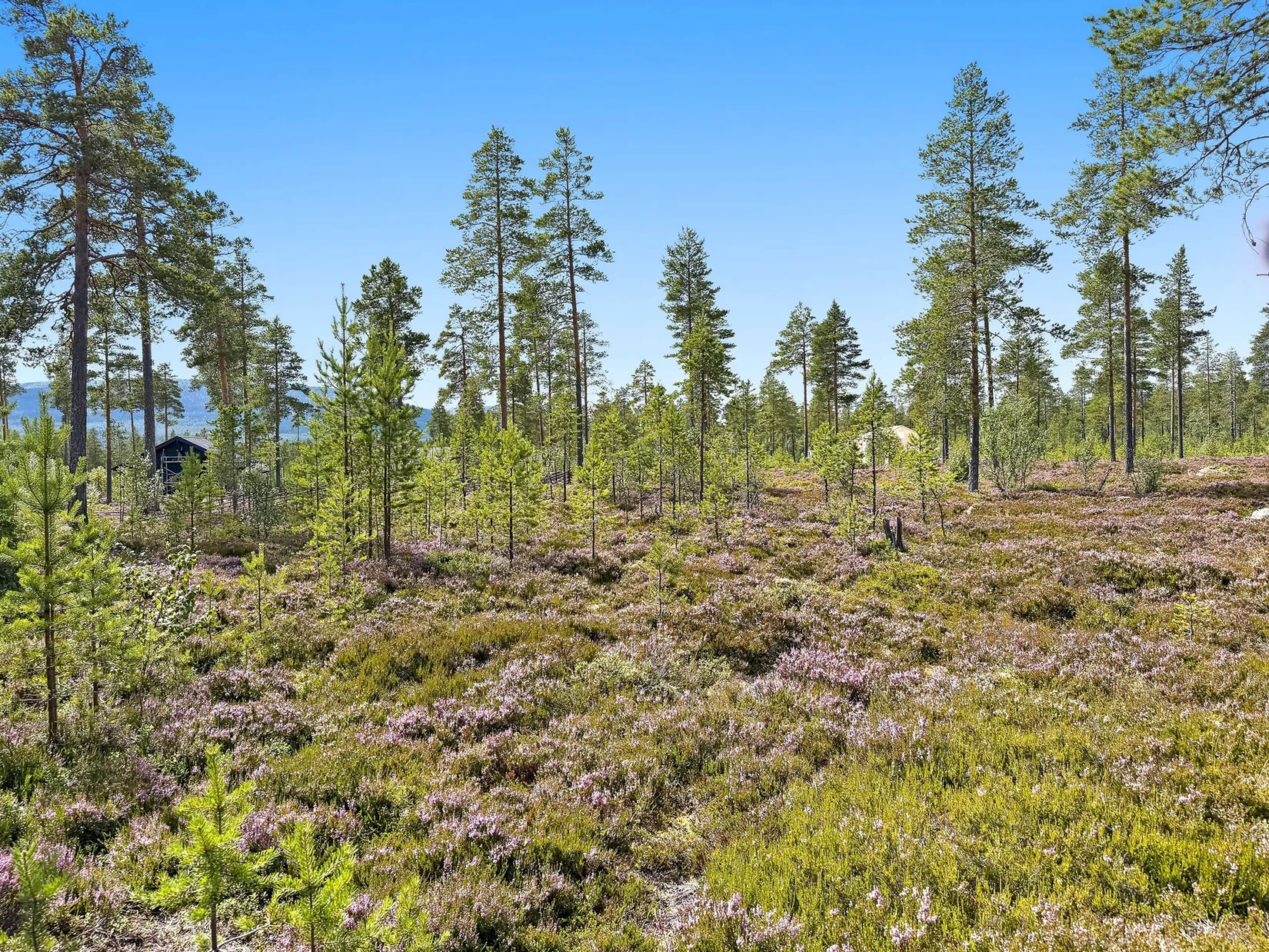 Tomt, Fulunäs Elins väg 6, Gräsheden, Malung-Sälen