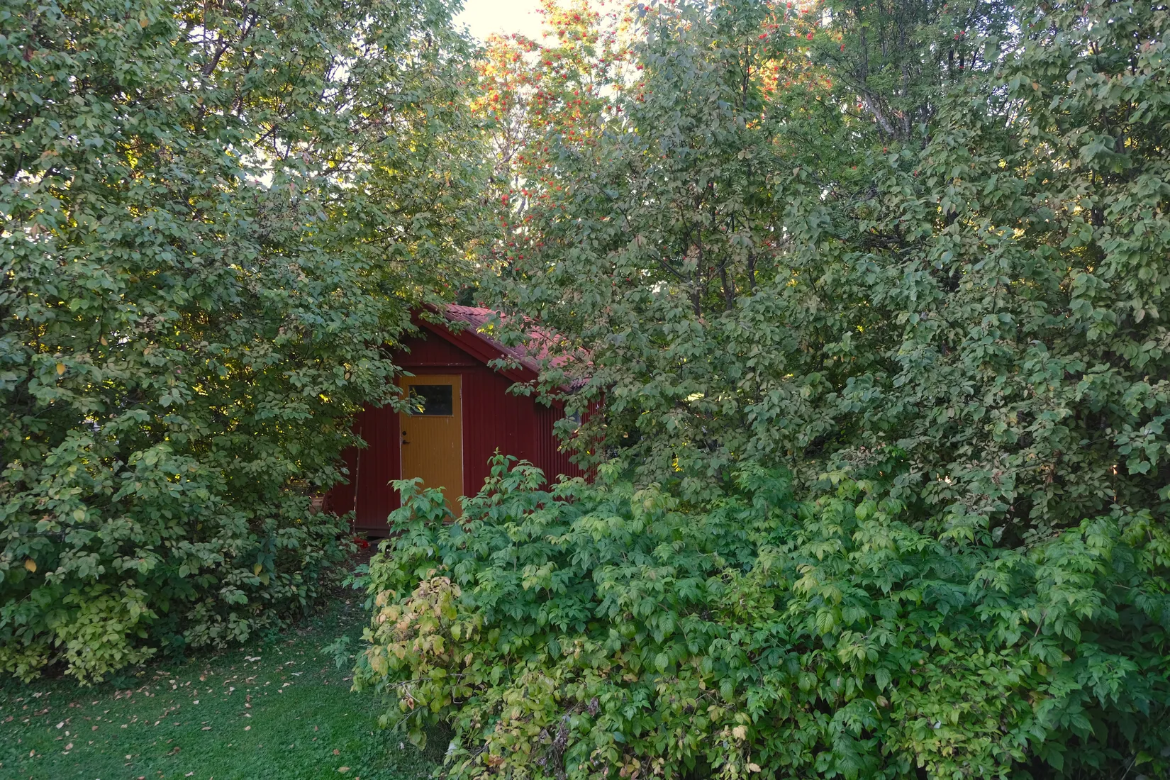 Villa, Skottgården 295, Oviken, Berg