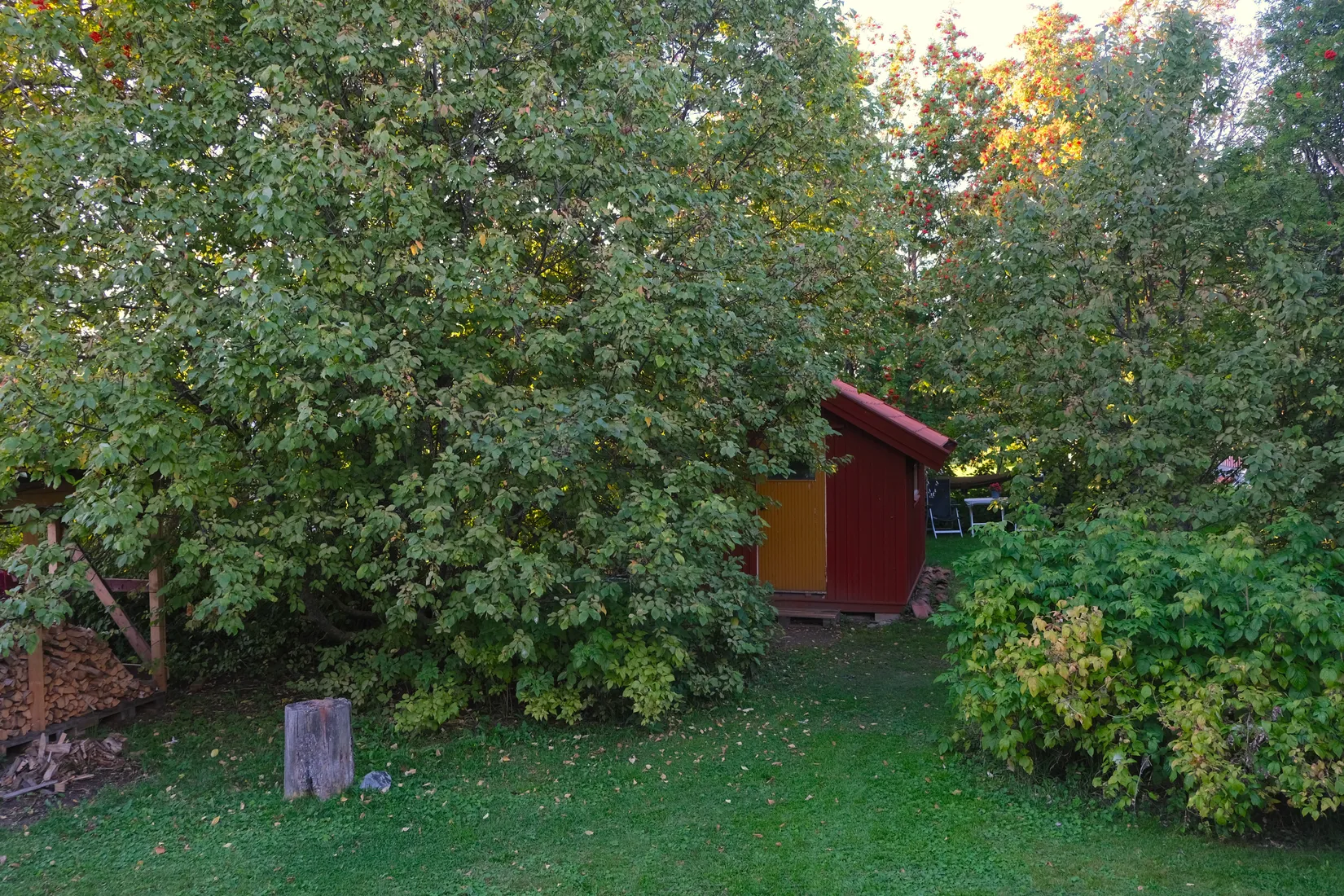 Villa, Skottgården 295, Oviken, Berg