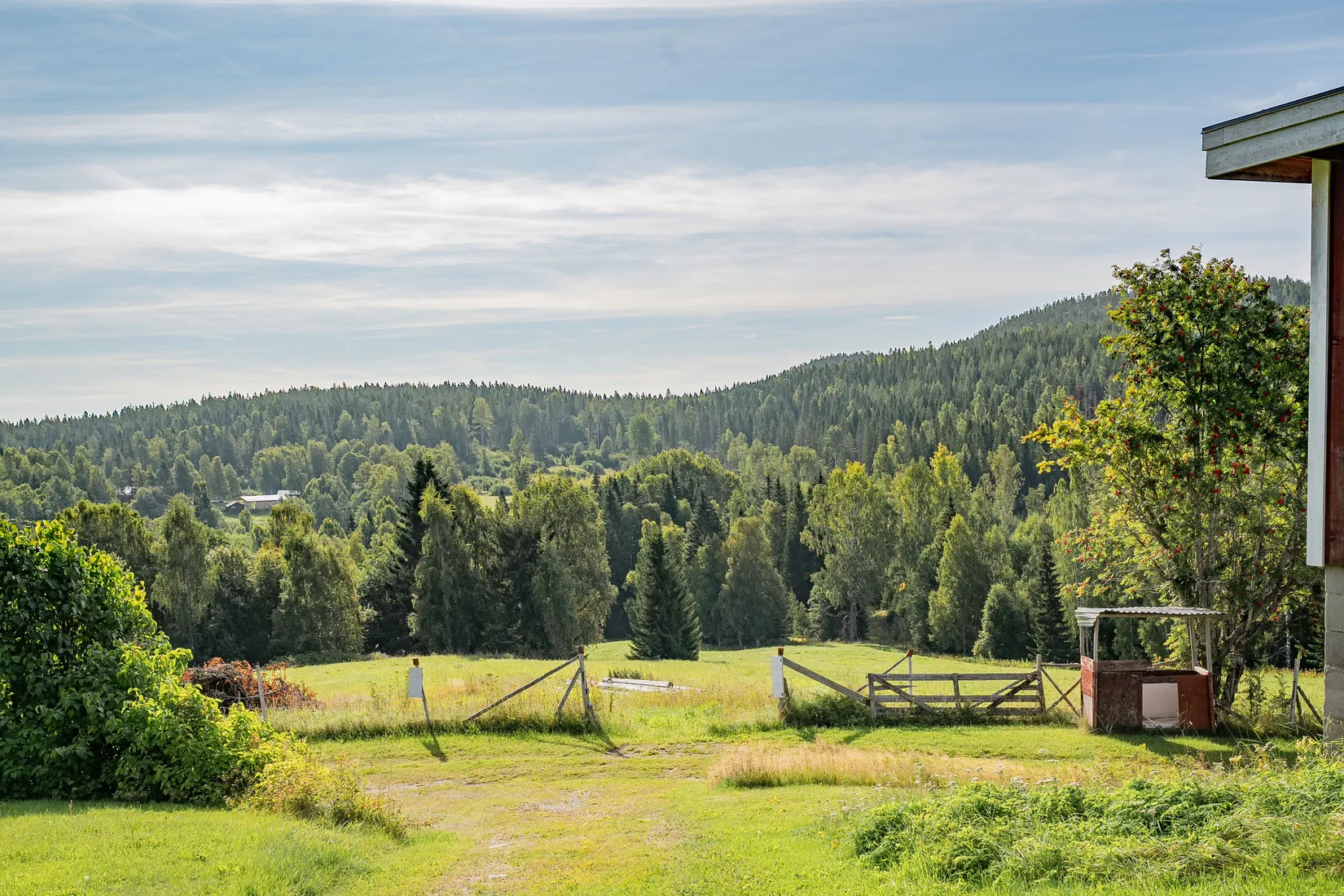 Gård/Skog, Risnäs 412, Härnösand