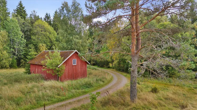 Gård/Skog, Röane 19, Munkedal