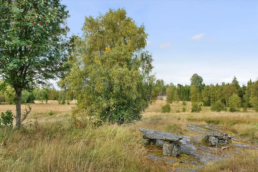 Gård/Skog, Röane 19, Munkedal