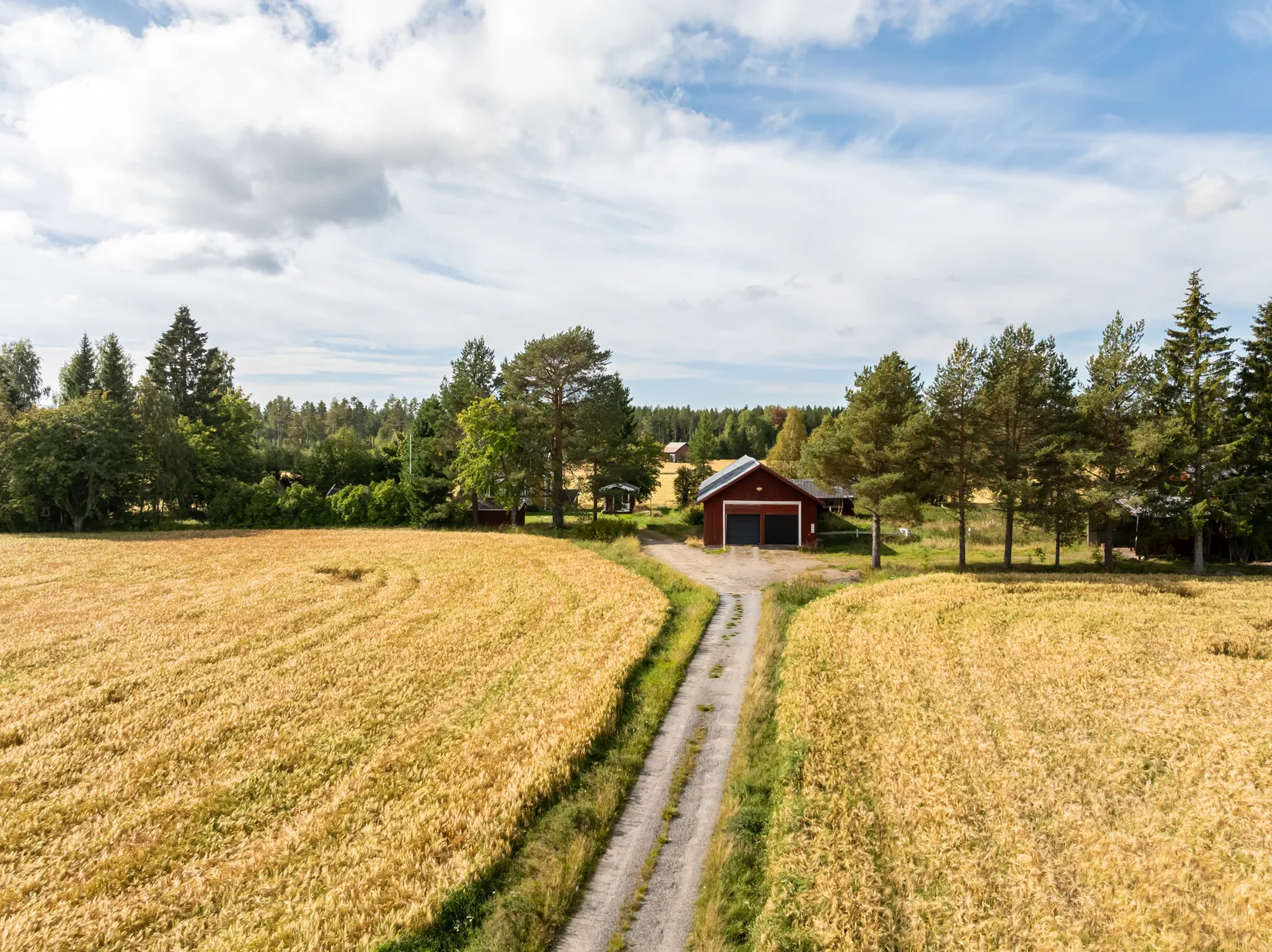 Gård/Skog, Bäck 161, Bygdeå, Robertsfors