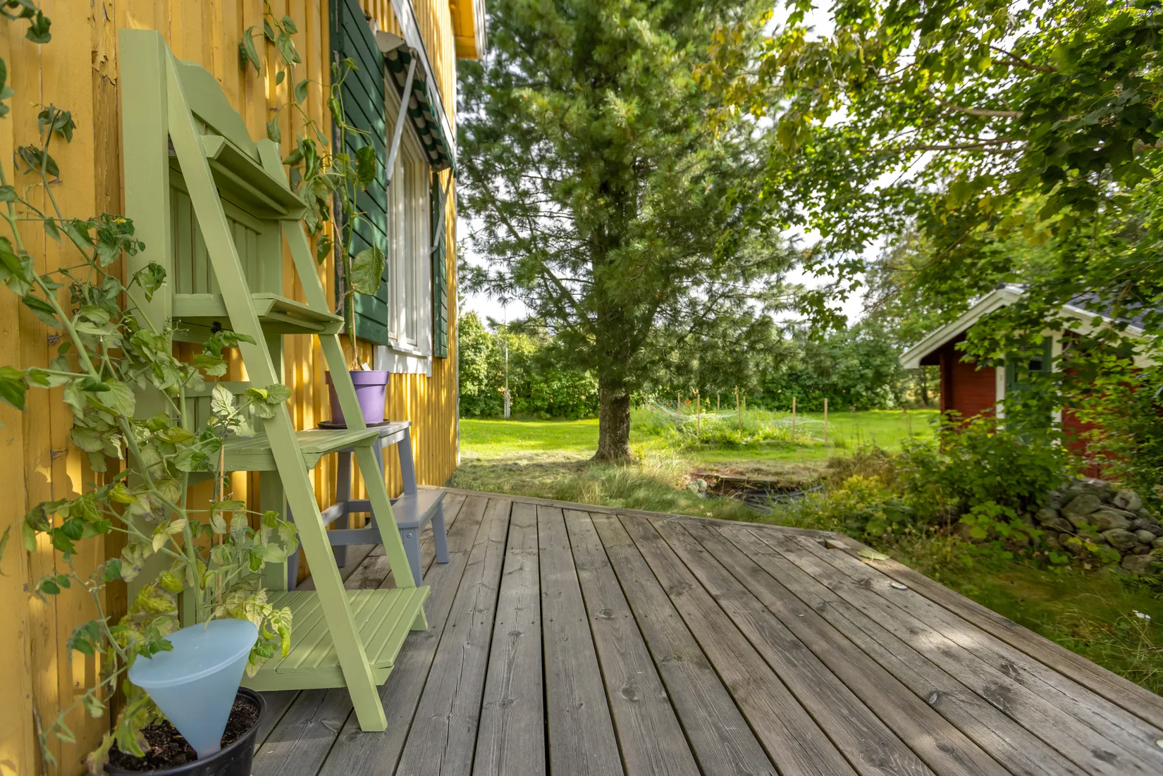 Gård/Skog, Bäck 161, Bygdeå, Robertsfors