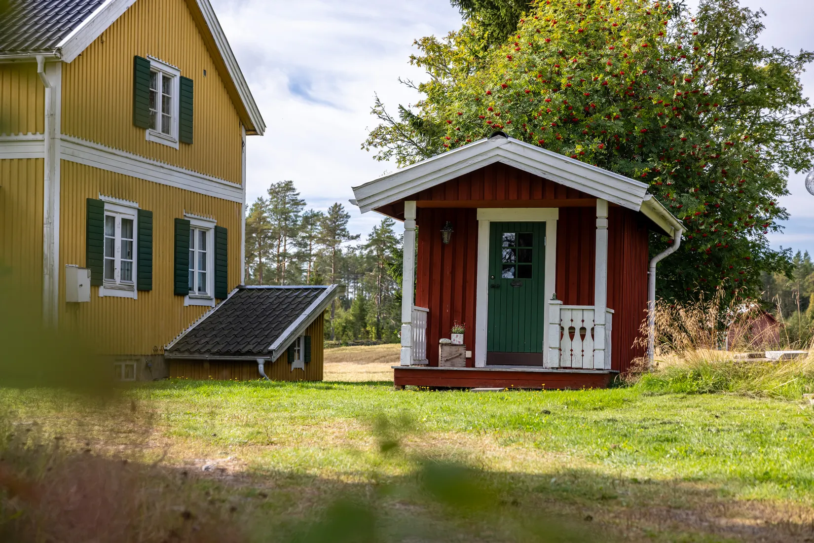 Gård/Skog, Bäck 161, Bygdeå, Robertsfors