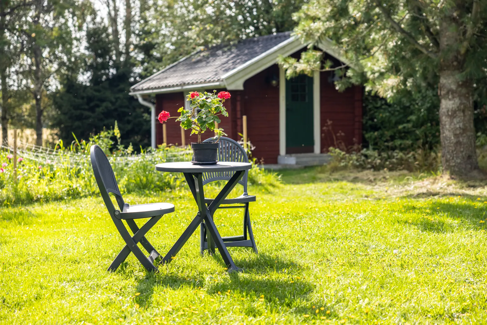 Gård/Skog, Bäck 161, Bygdeå, Robertsfors