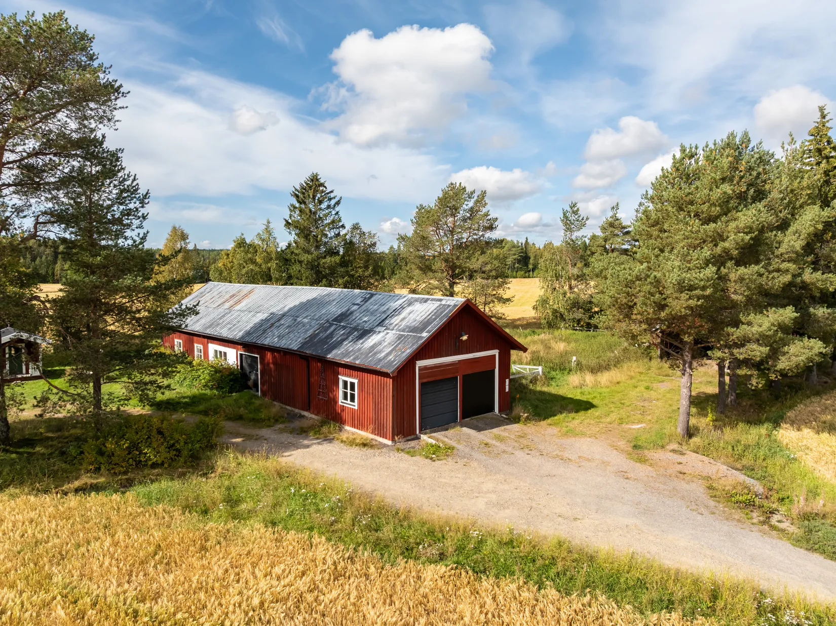 Gård/Skog, Bäck 161, Bygdeå, Robertsfors