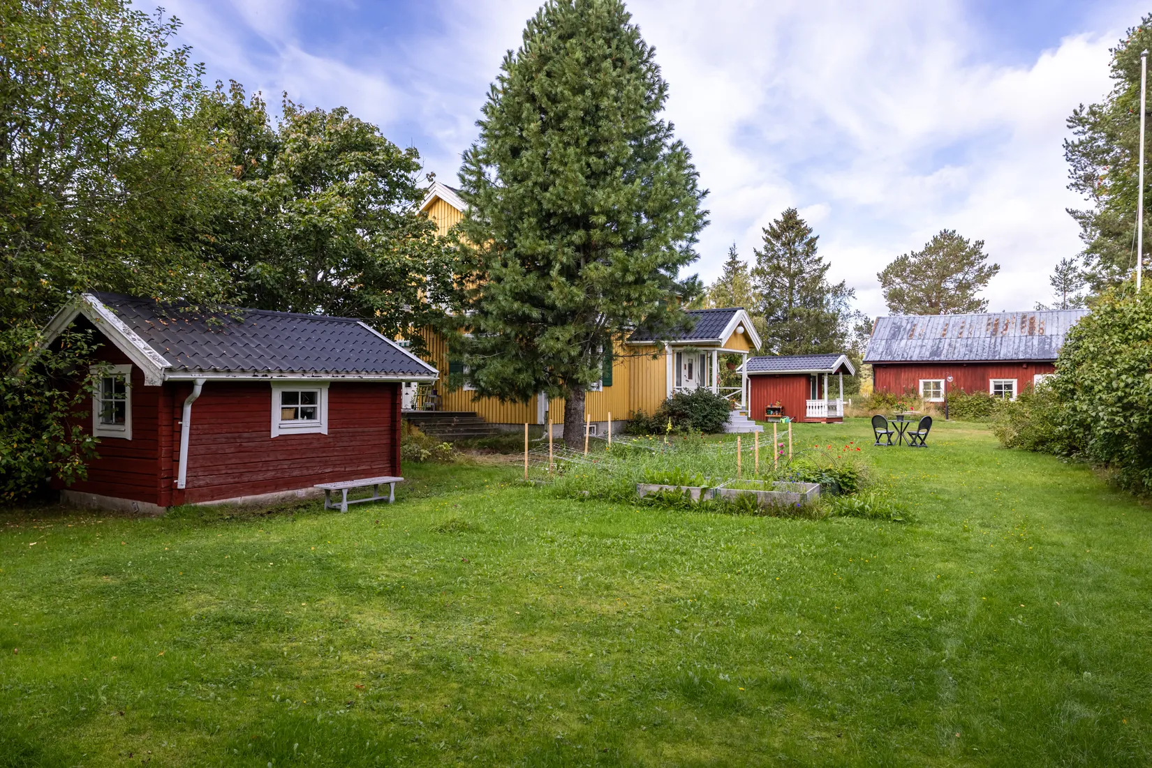 Gård/Skog, Bäck 161, Bygdeå, Robertsfors