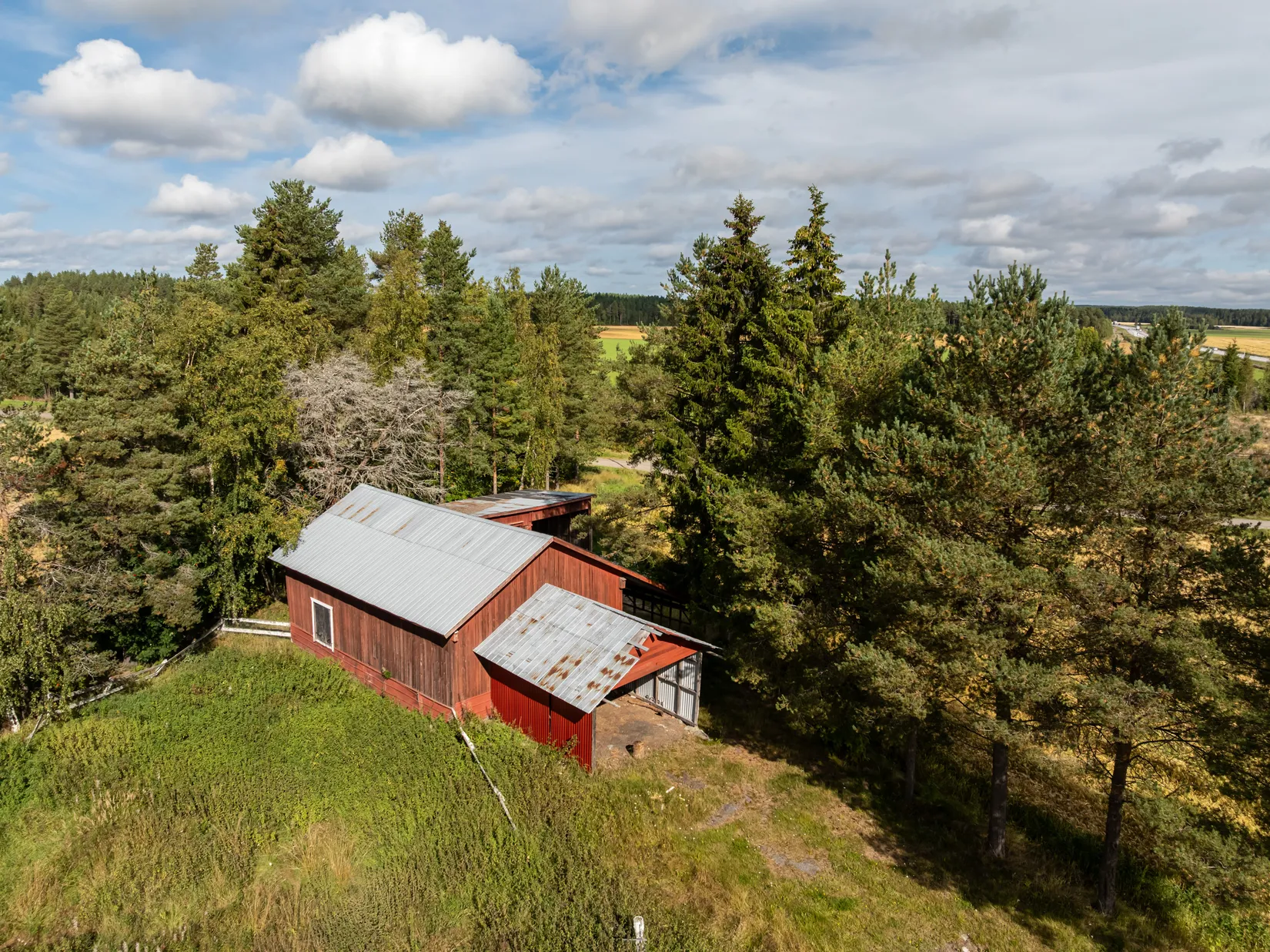 Gård/Skog, Bäck 161, Bygdeå, Robertsfors