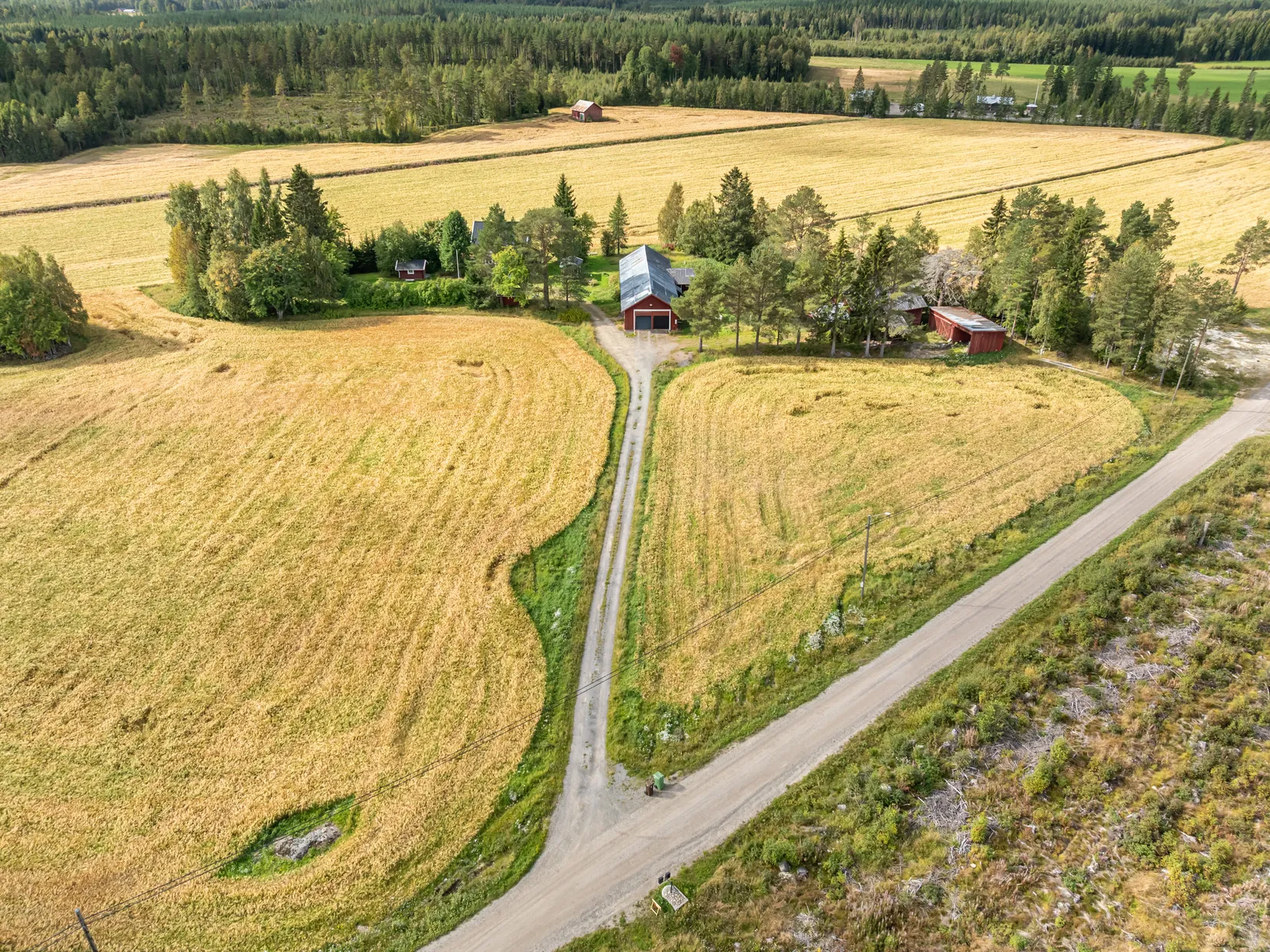 Gård/Skog, Bäck 161, Bygdeå, Robertsfors