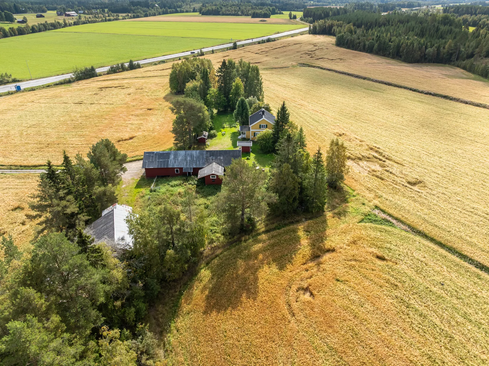 Gård/Skog, Bäck 161, Bygdeå, Robertsfors