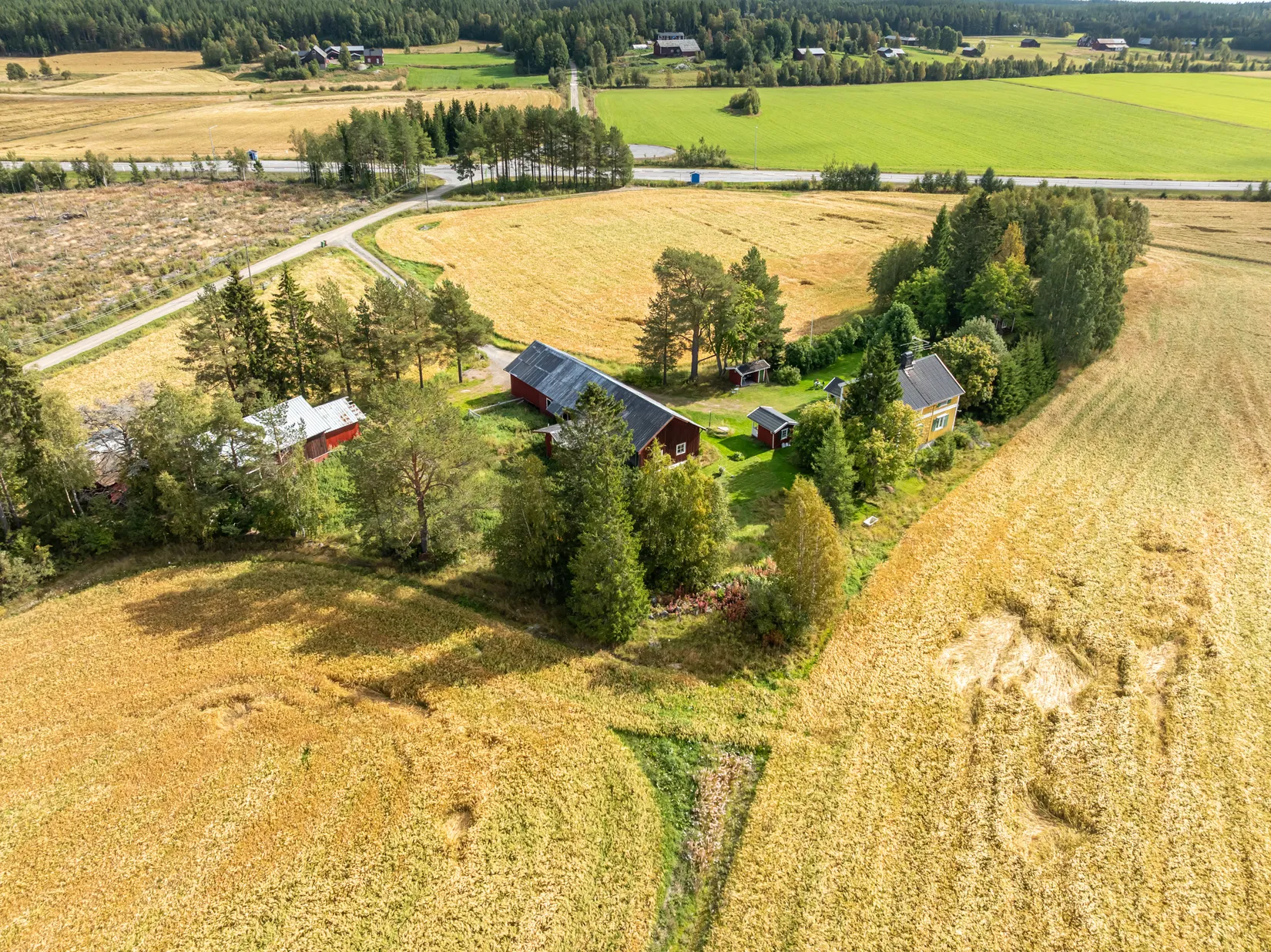 Gård/Skog, Bäck 161, Bygdeå, Robertsfors
