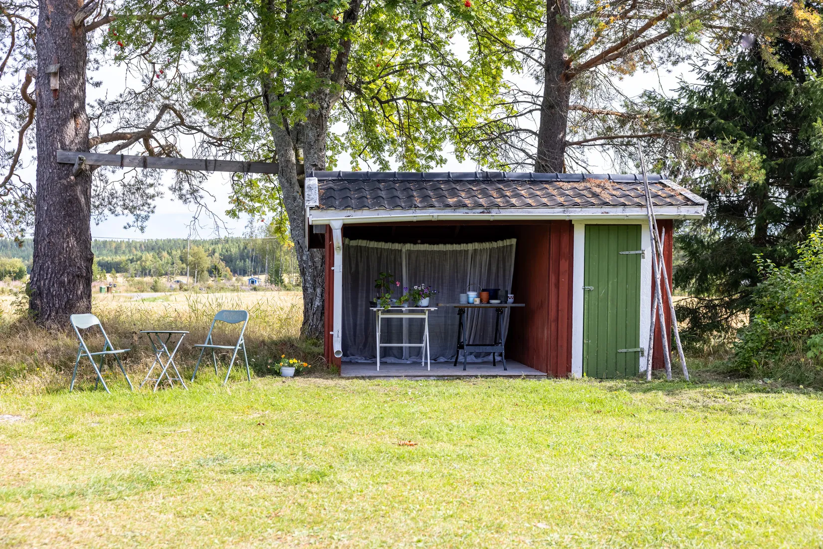 Gård/Skog, Bäck 161, Bygdeå, Robertsfors
