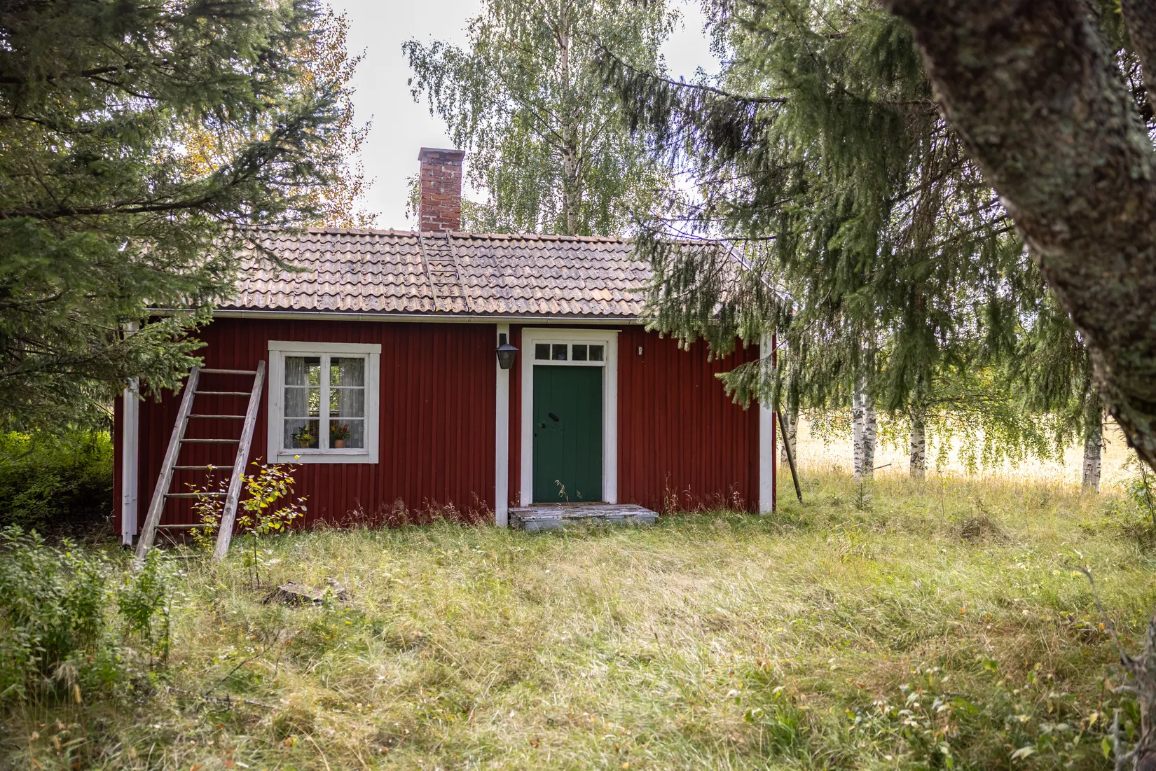 Gård/Skog, Bäck 161, Bygdeå, Robertsfors