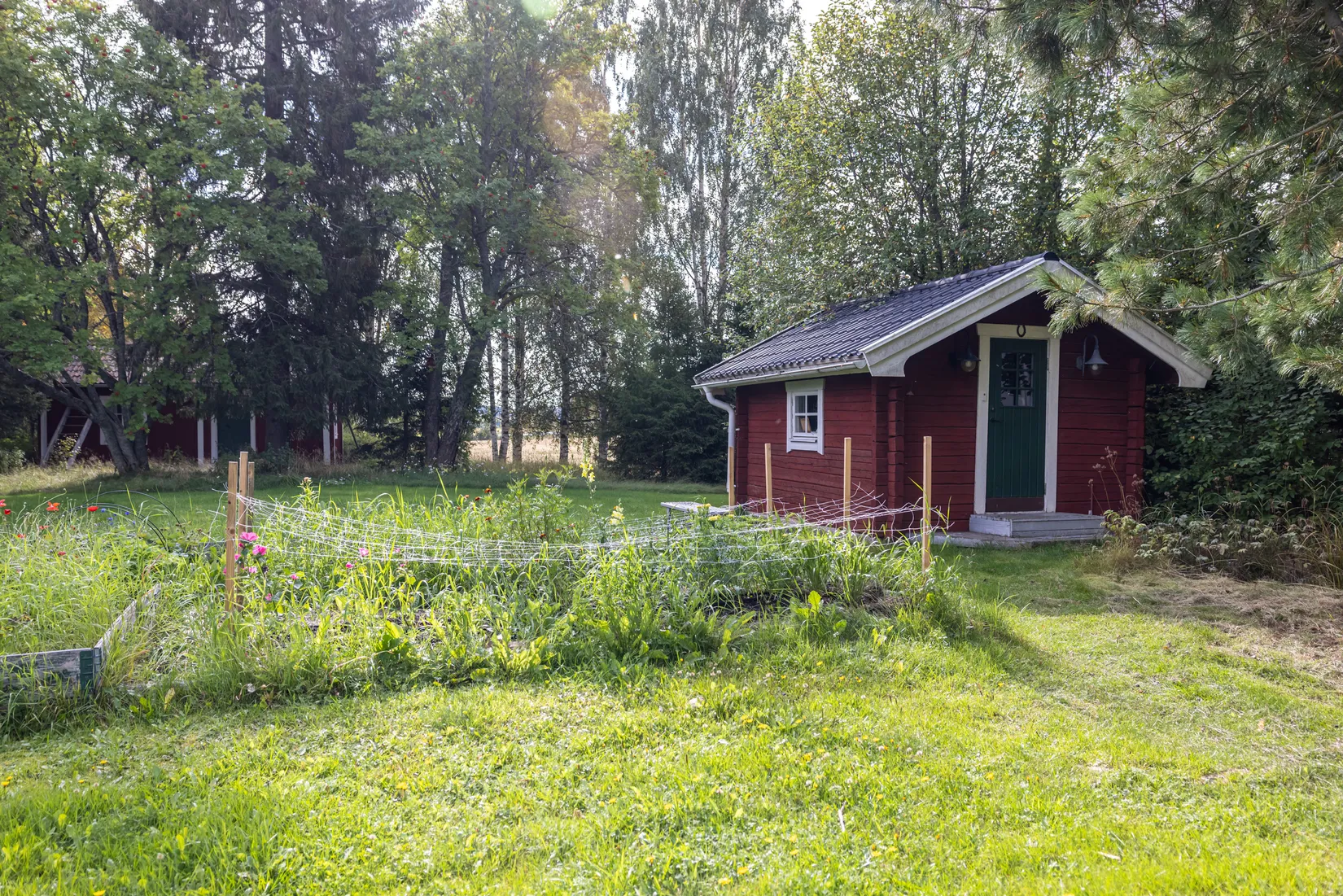 Gård/Skog, Bäck 161, Bygdeå, Robertsfors