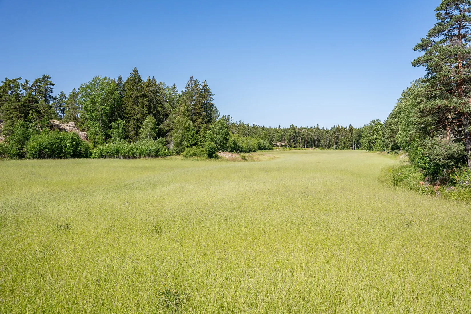 Gård/Skog, Ödebo 3, Gottenvik, Norrköping