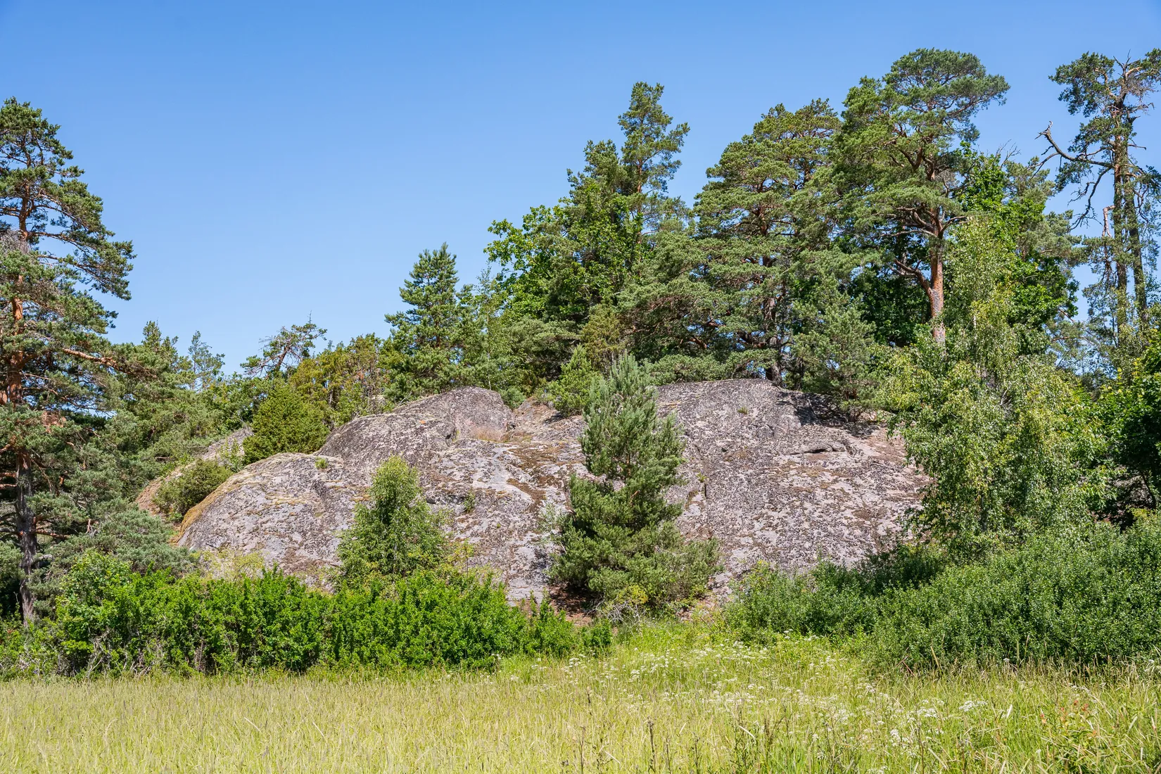 Gård/Skog, Ödebo 3, Gottenvik, Norrköping