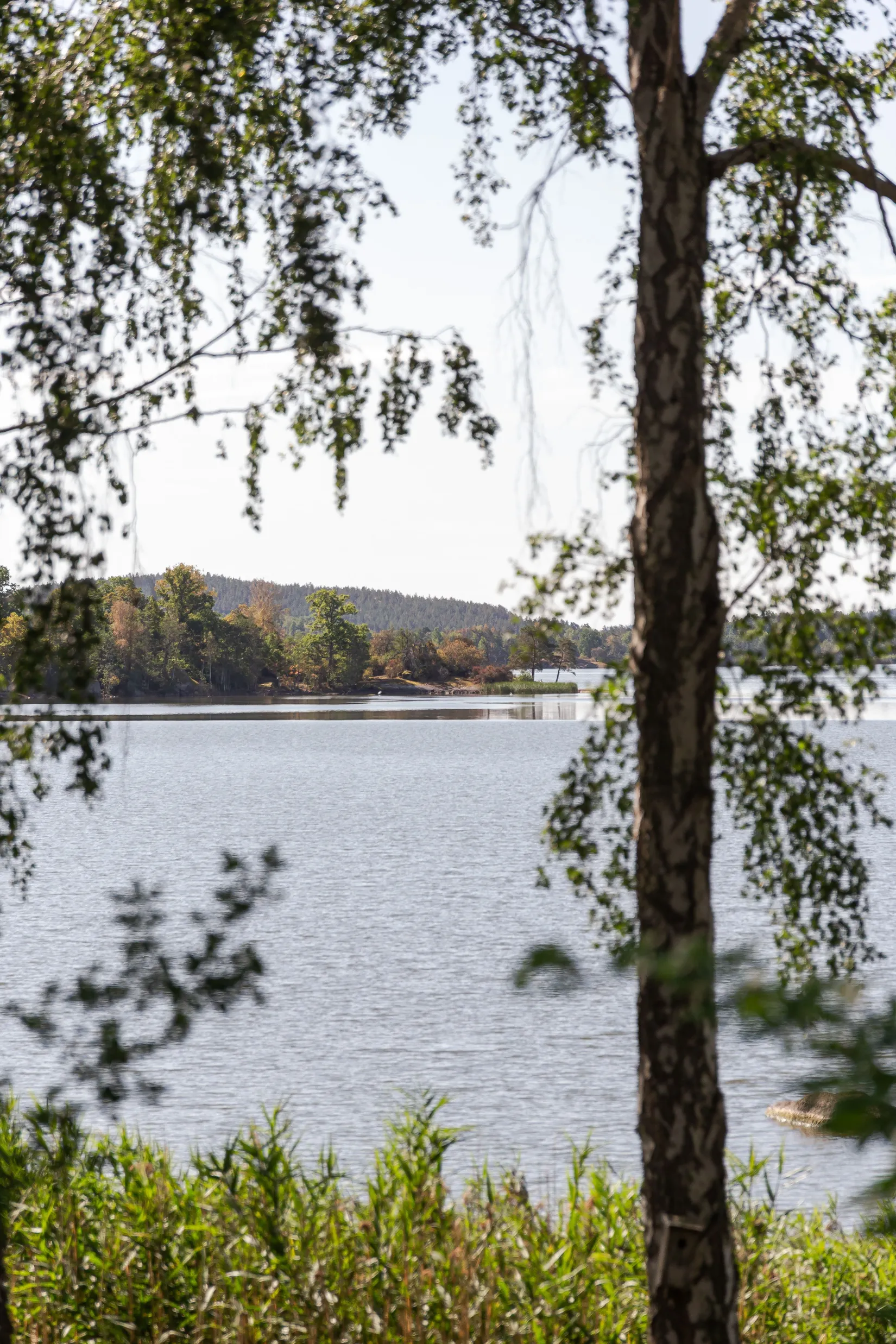 Fritidshus, Skälhamra Udden 3, Rimforsa, Kinda