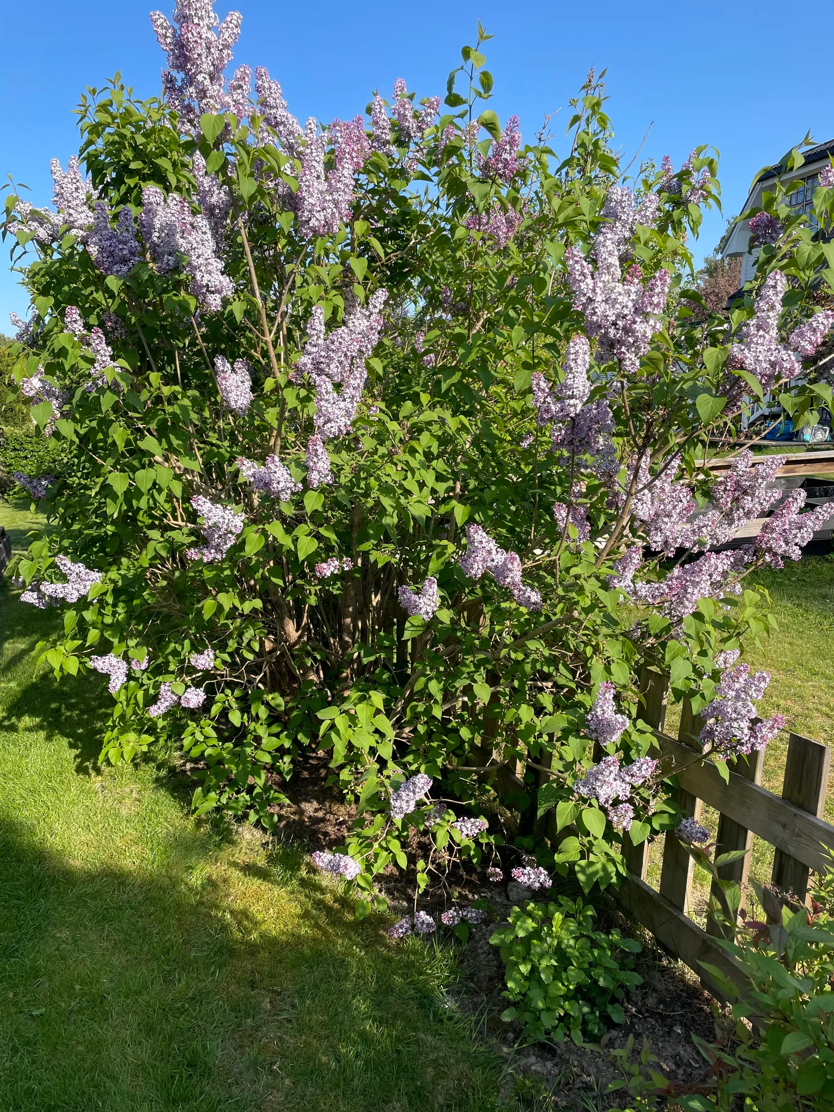 Villa, Torsviksvägen 15, Hammarö