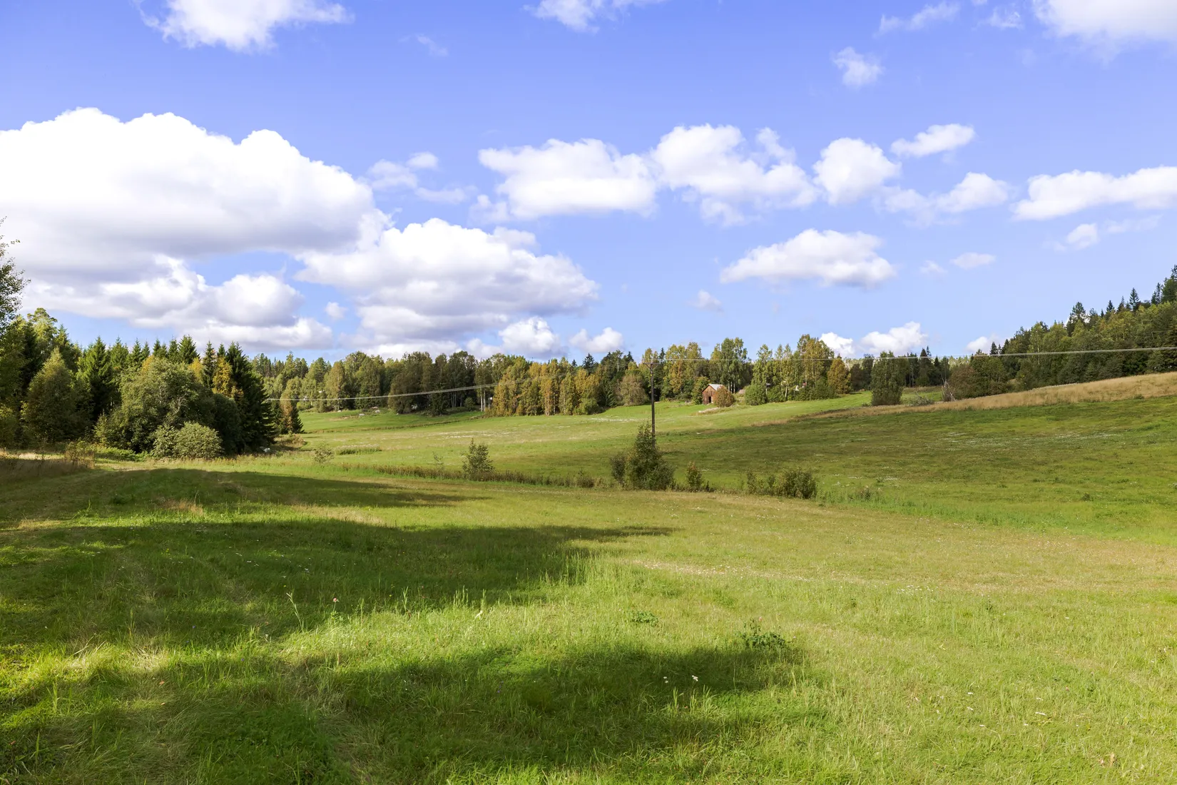Gård/Skog, Högsjö 117, Sundsvall