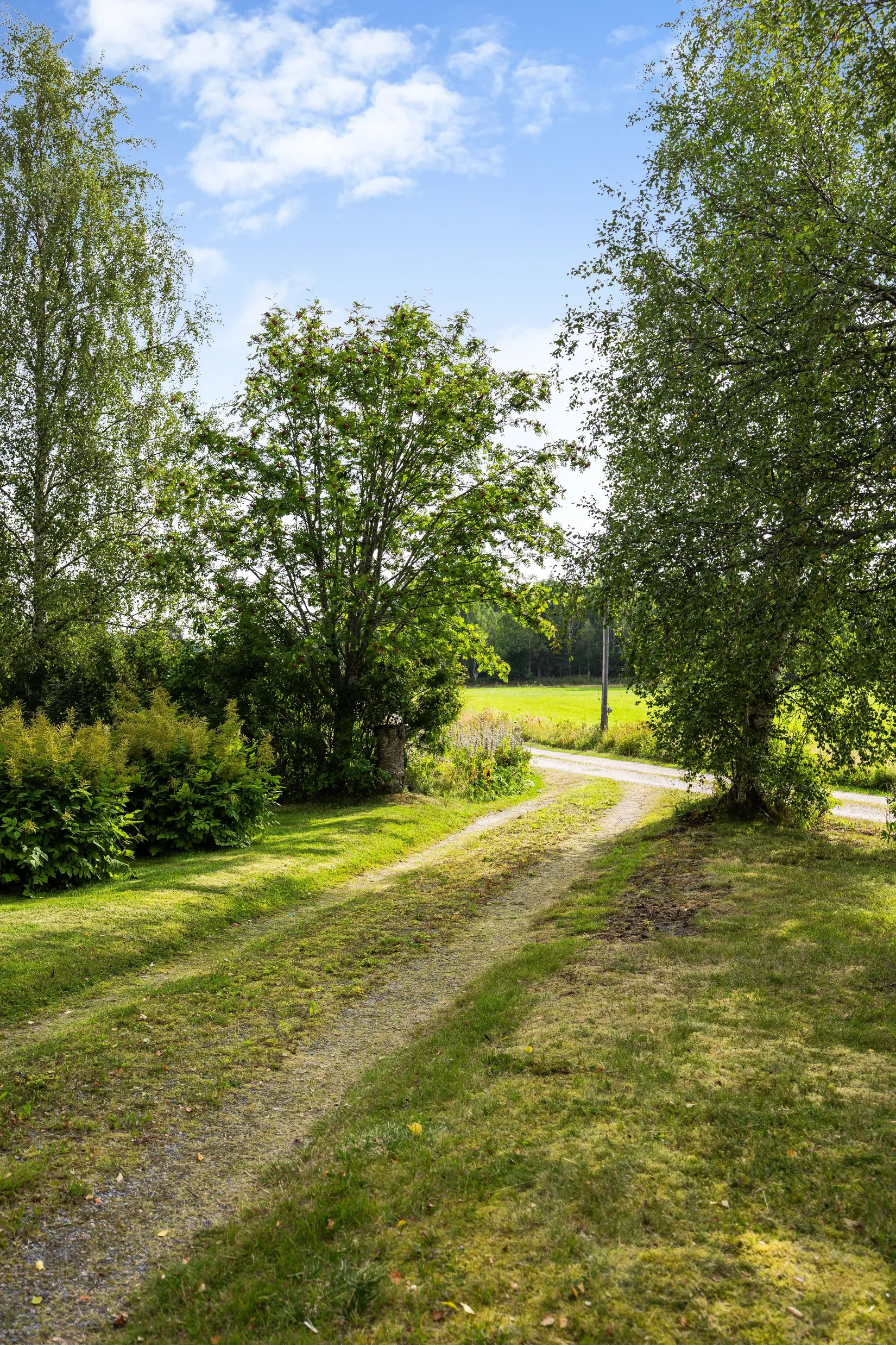Gård/Skog, Vattlång 410, Vattlång, Nordanstig