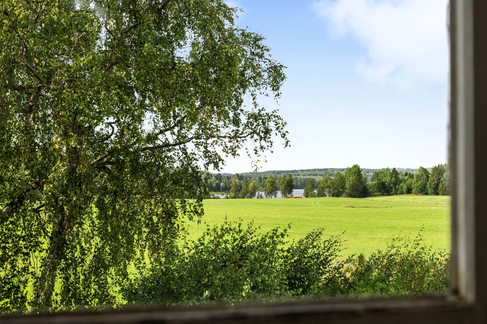Gård/Skog, Vattlång 410, Vattlång, Nordanstig
